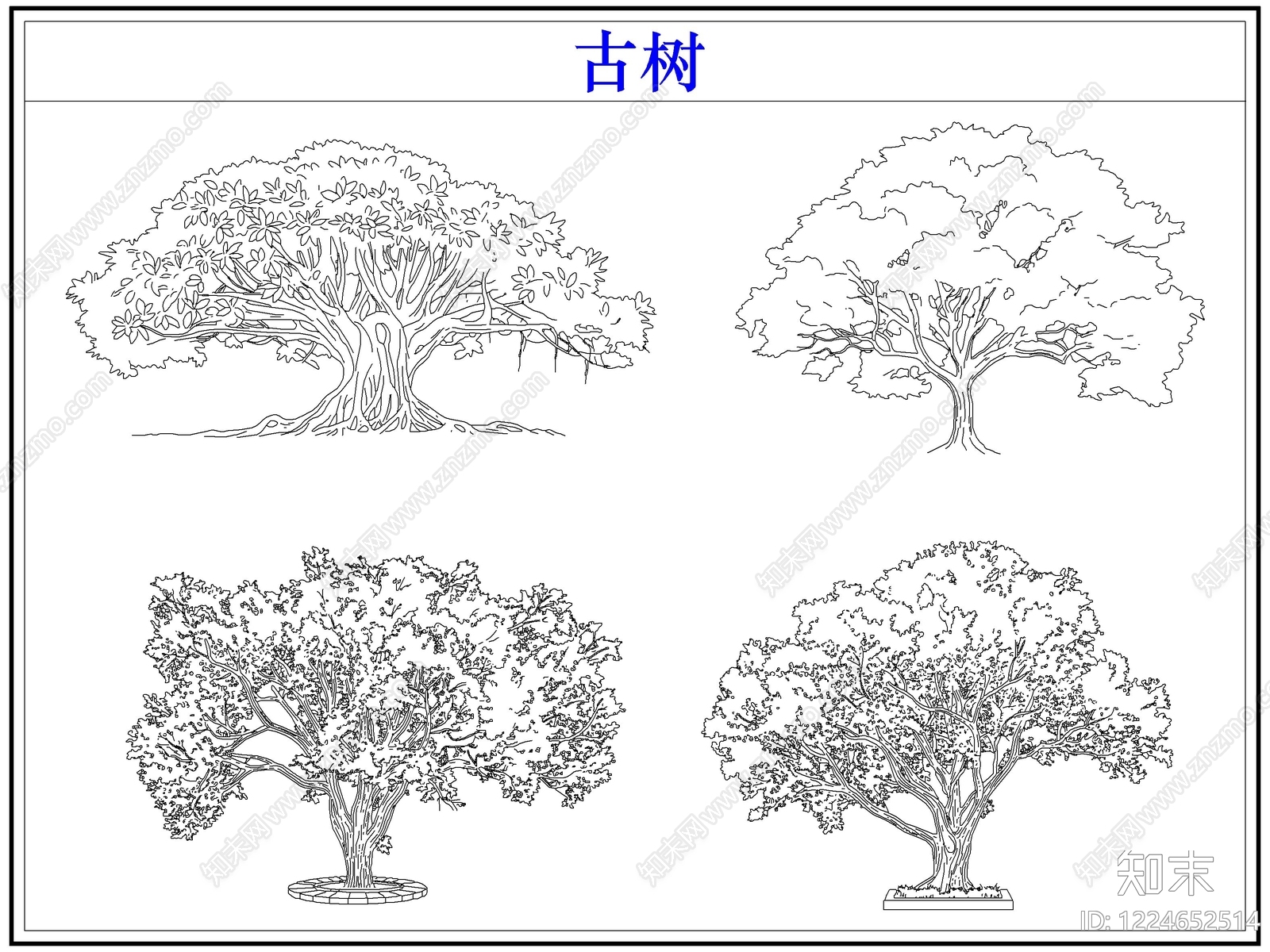 乔木种植CAD图纸