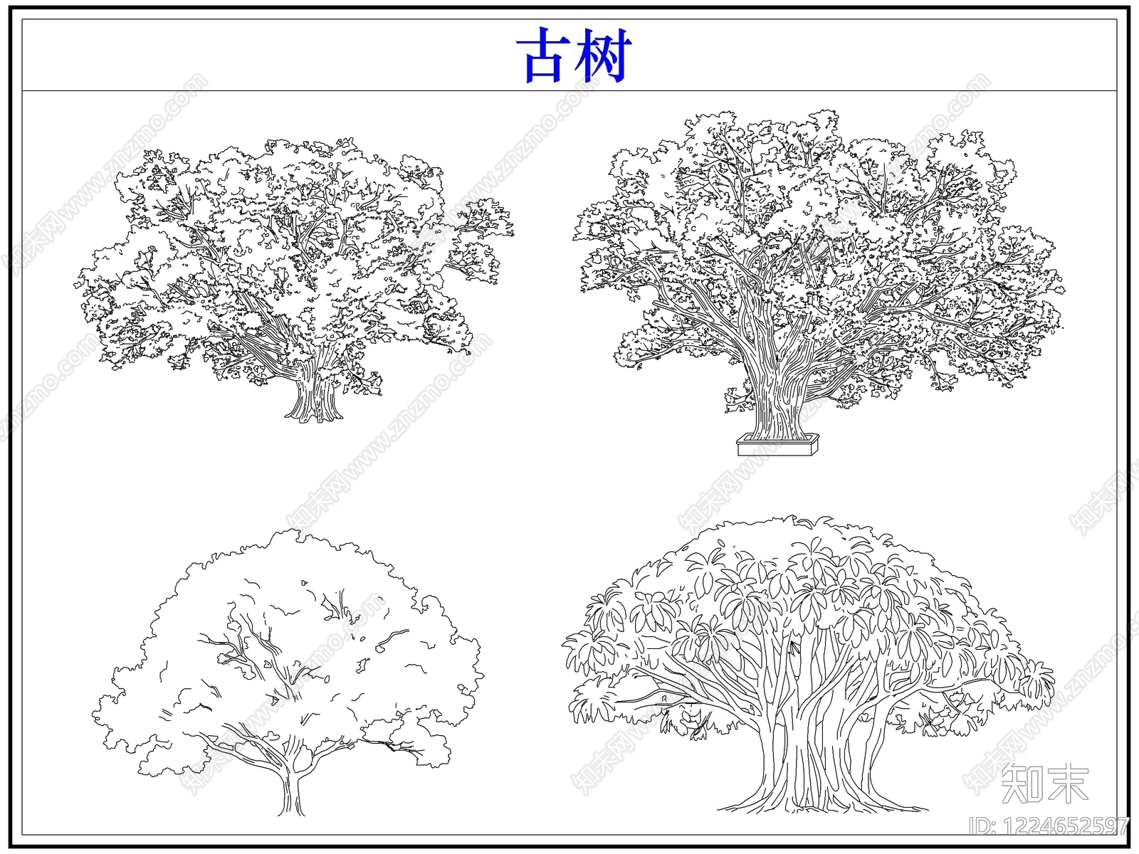 乔木种植CAD图纸