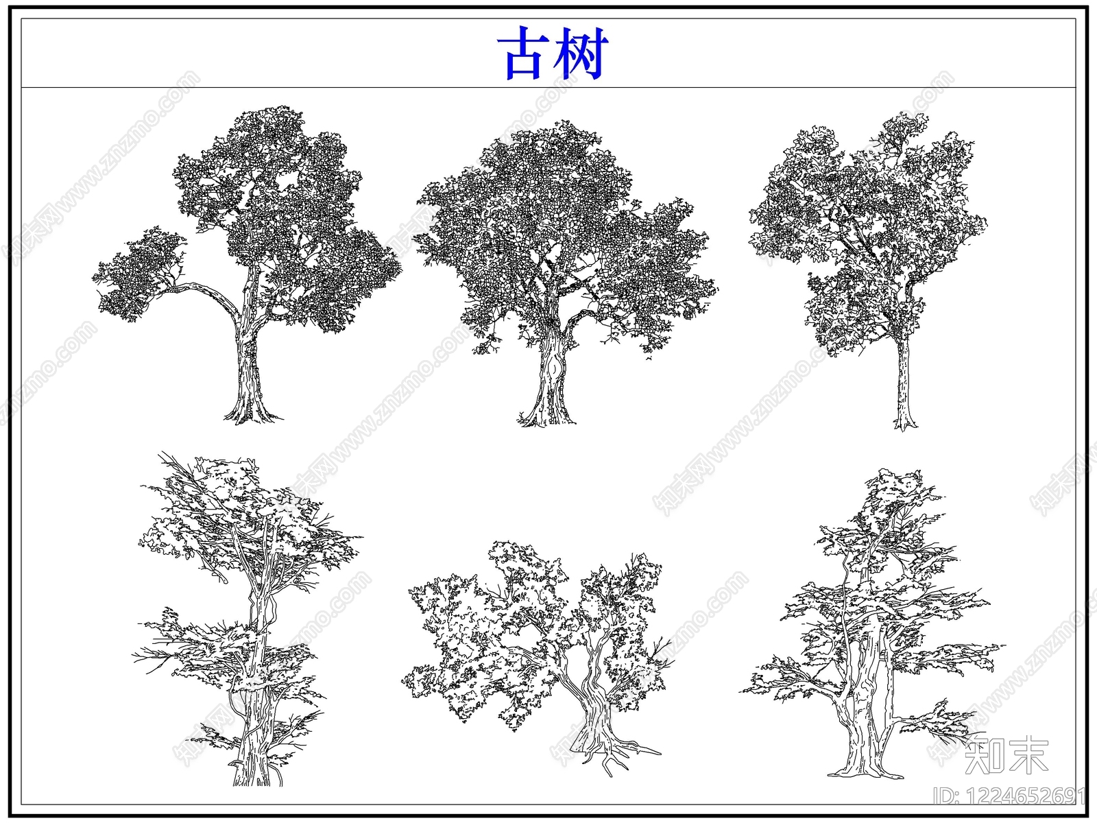 乔木种植CAD图纸