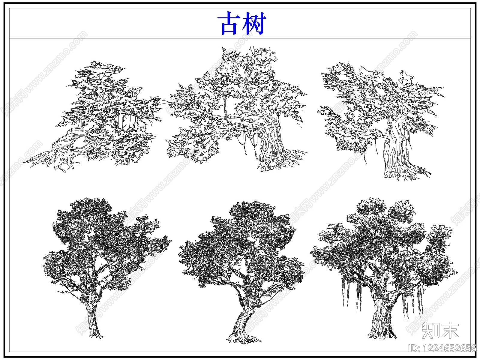 乔木种植CAD图纸
