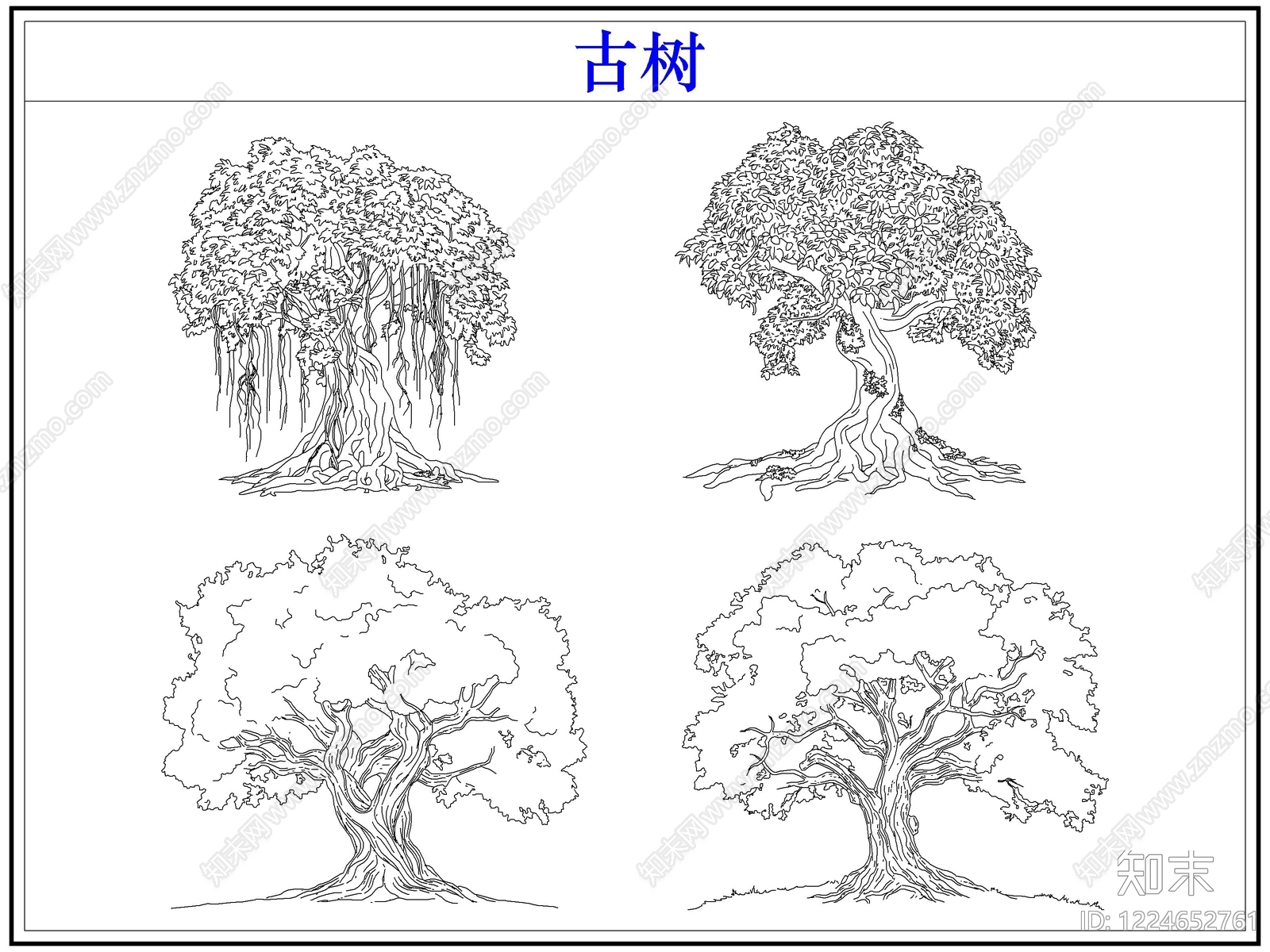 乔木种植CAD图纸