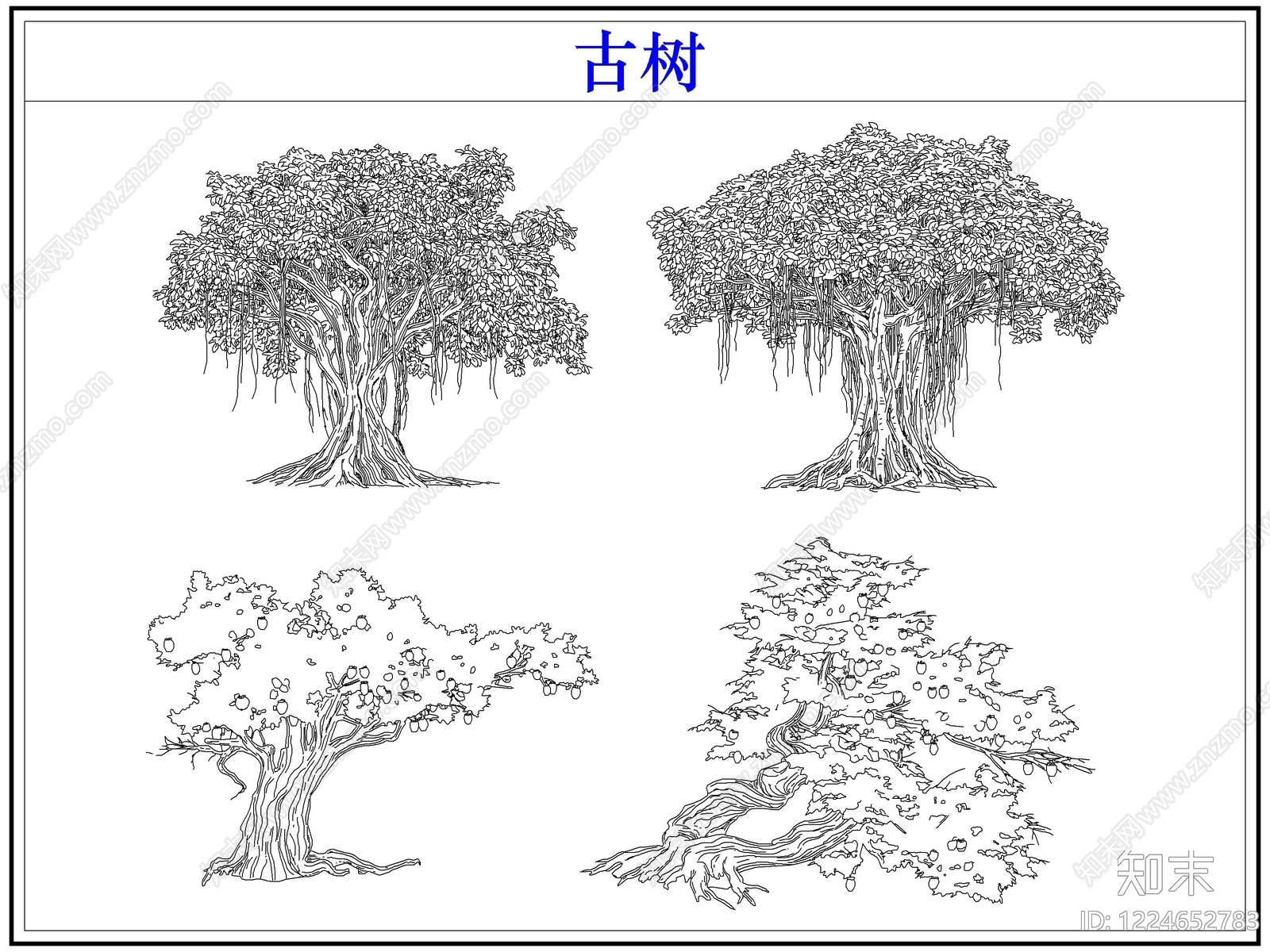 乔木种植CAD图纸