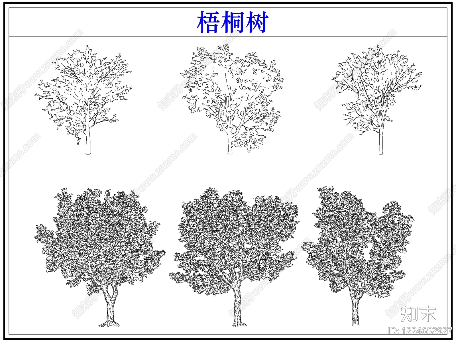 乔木种植CAD图纸