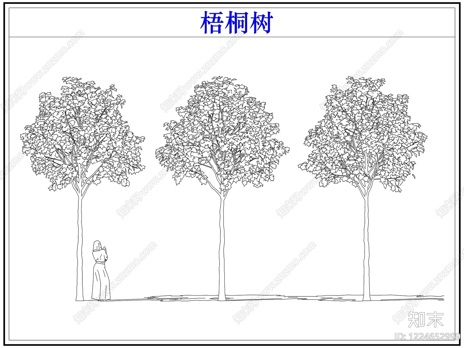 乔木种植CAD图纸