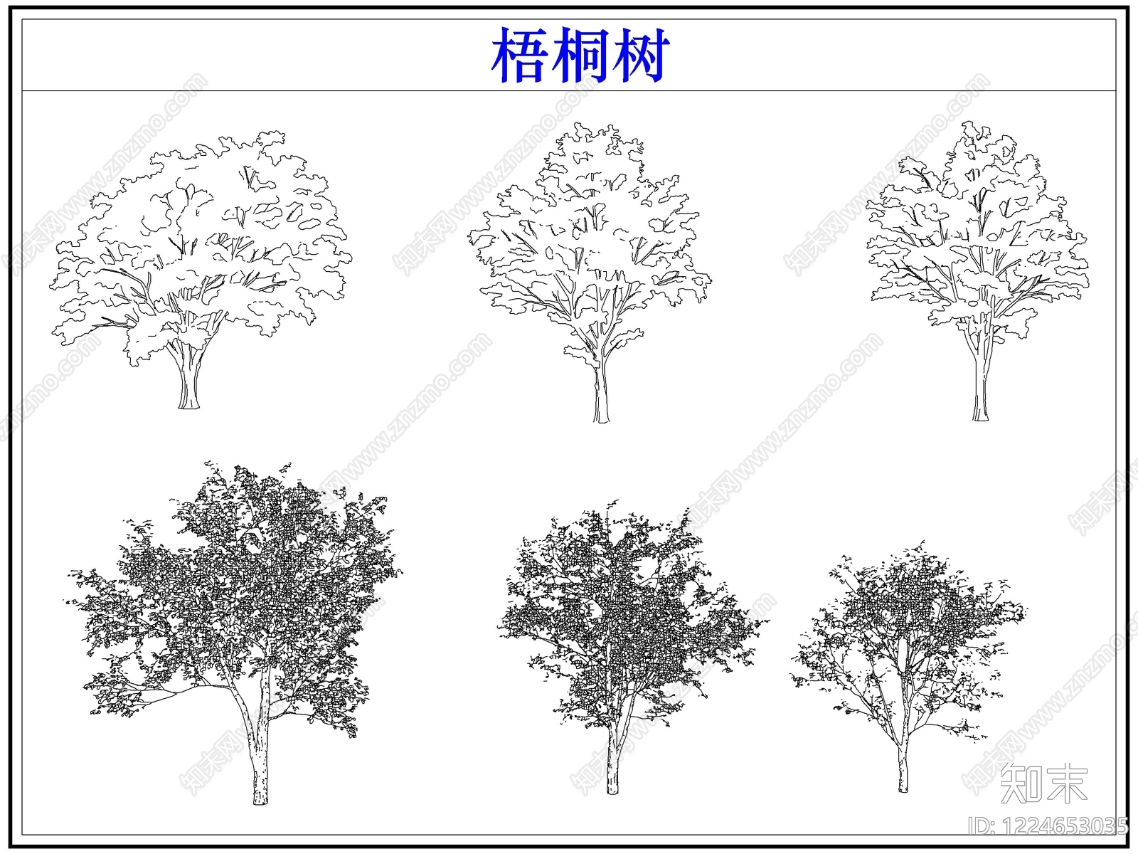 乔木种植CAD图纸