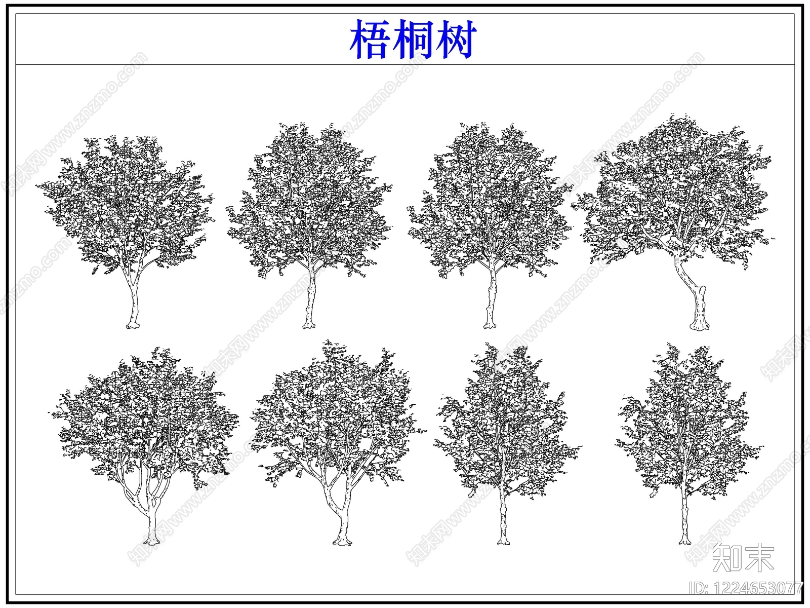 乔木种植CAD图纸