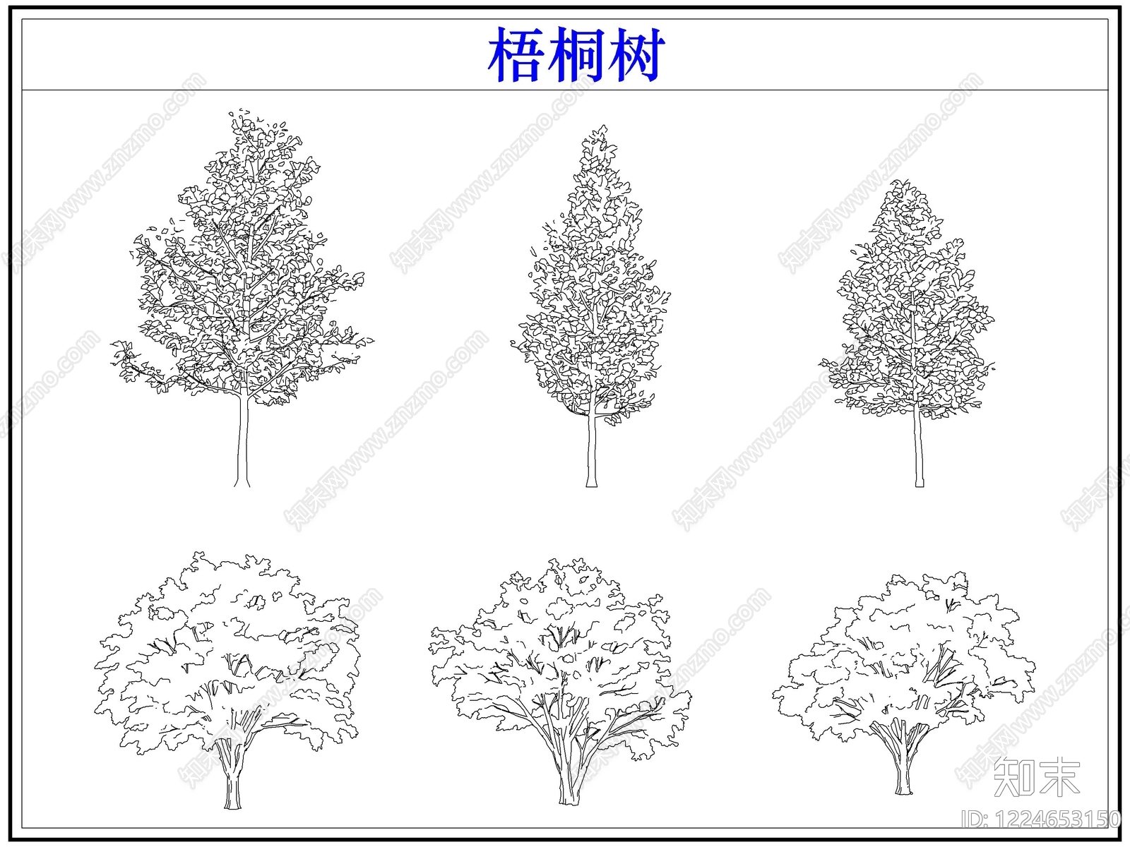 乔木种植CAD图纸