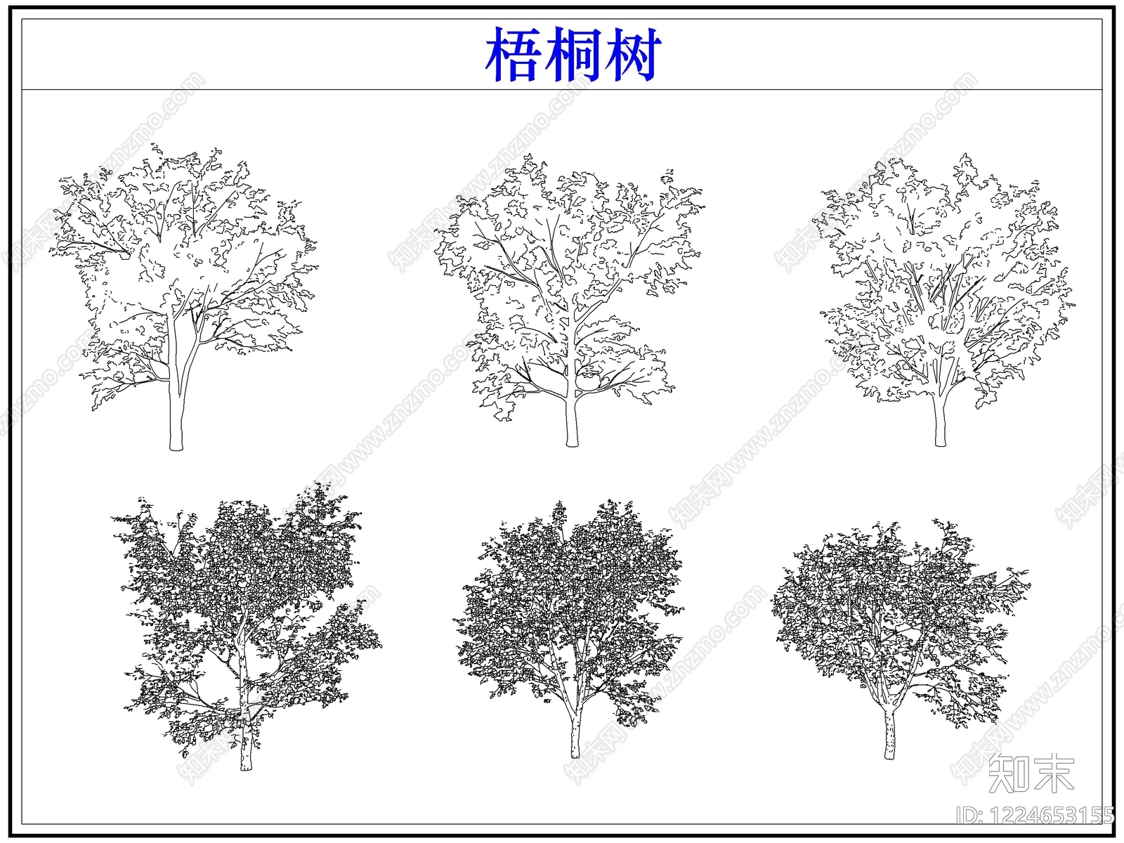 乔木种植CAD图纸