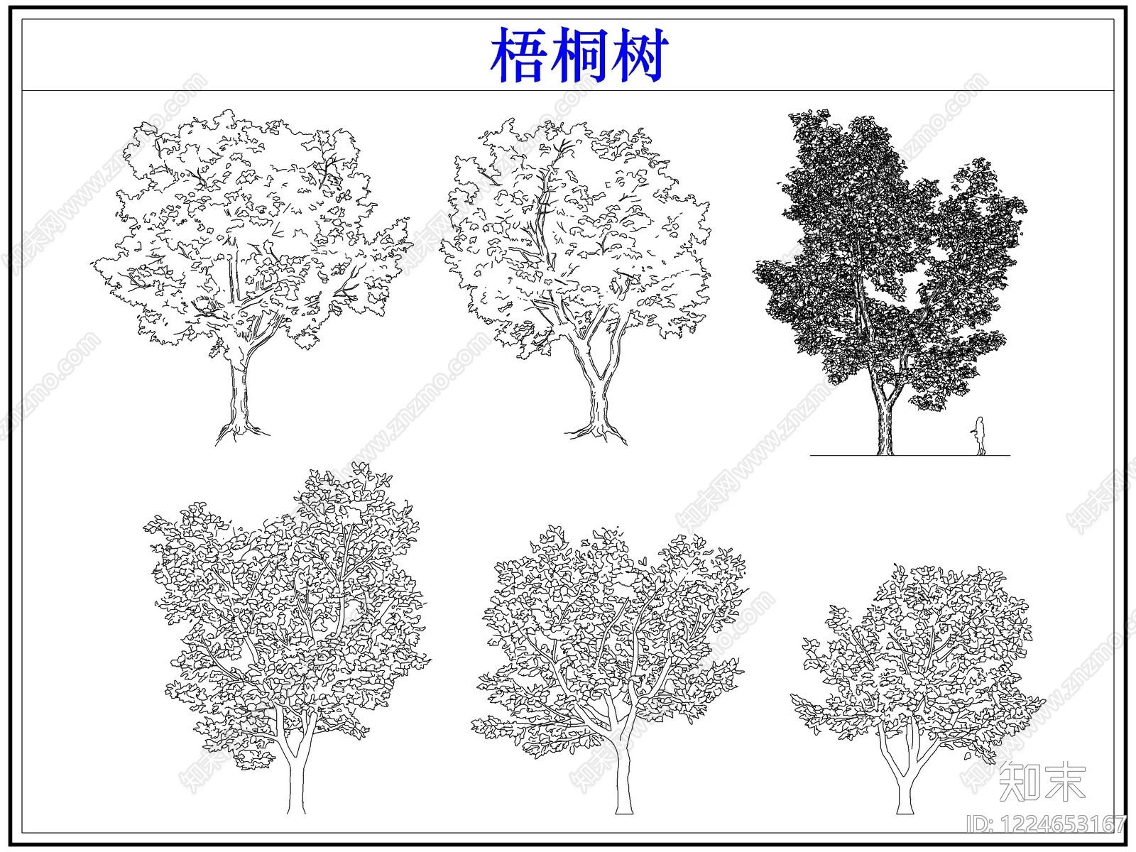乔木种植CAD图纸