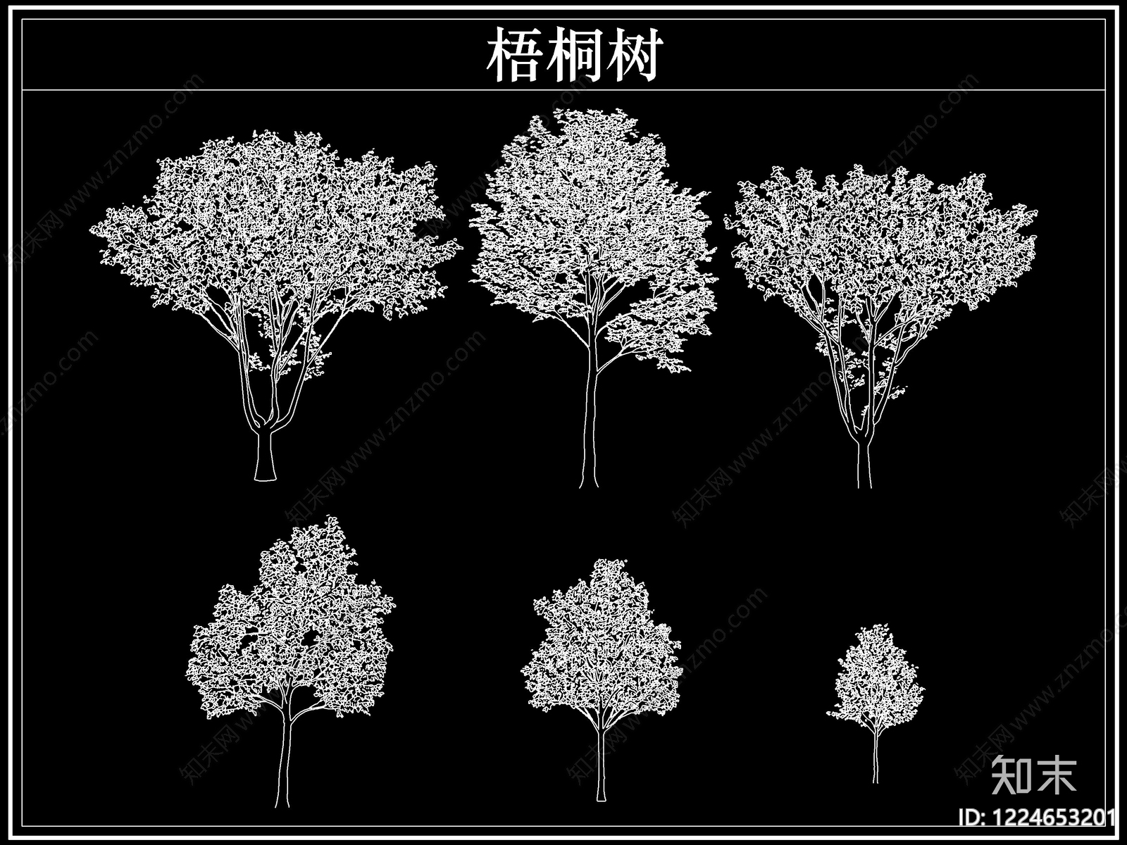 乔木种植CAD图纸