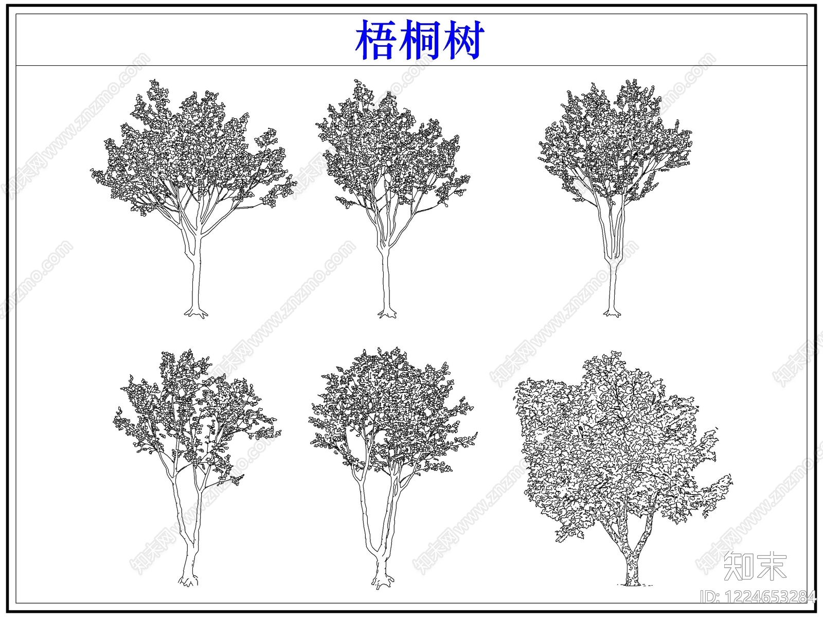 乔木种植CAD图纸