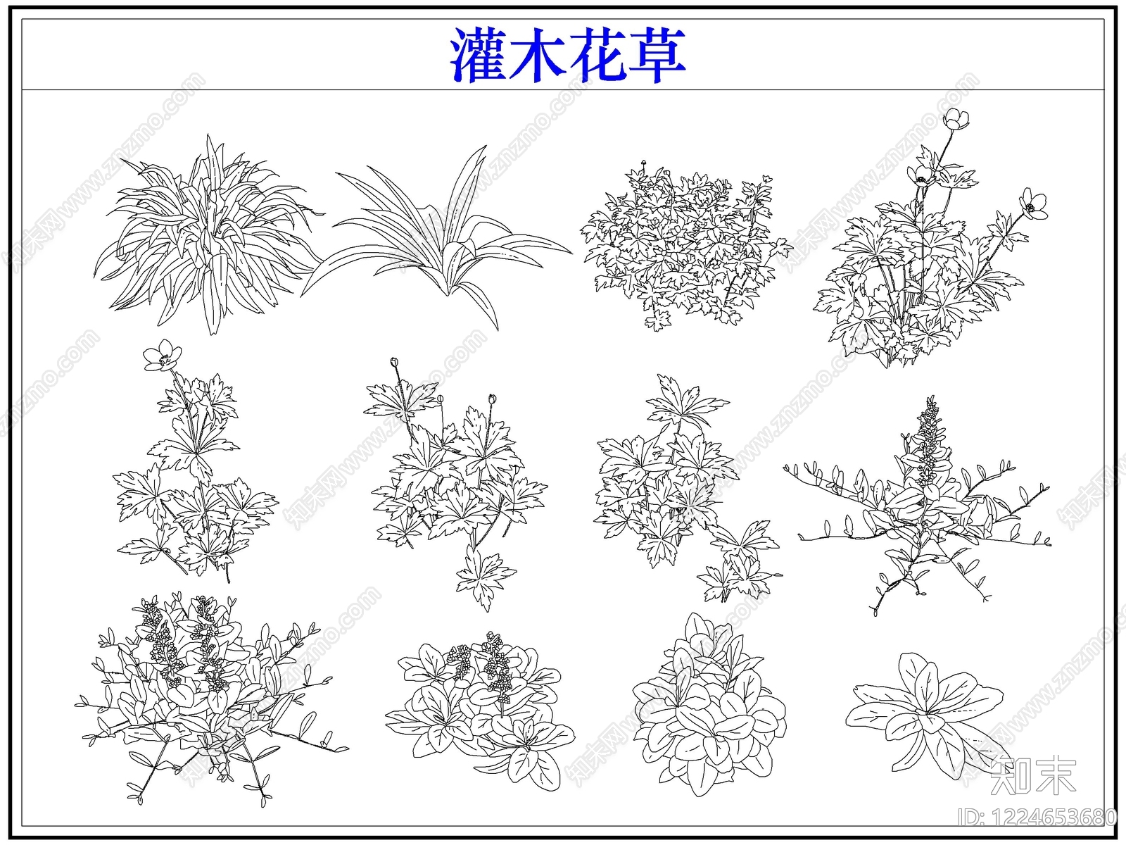 绿植CAD图纸