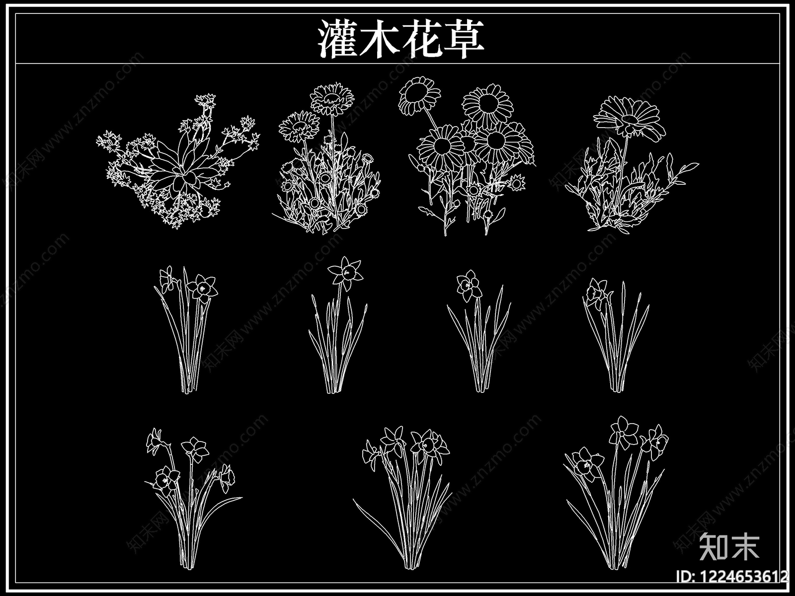 绿植CAD图纸