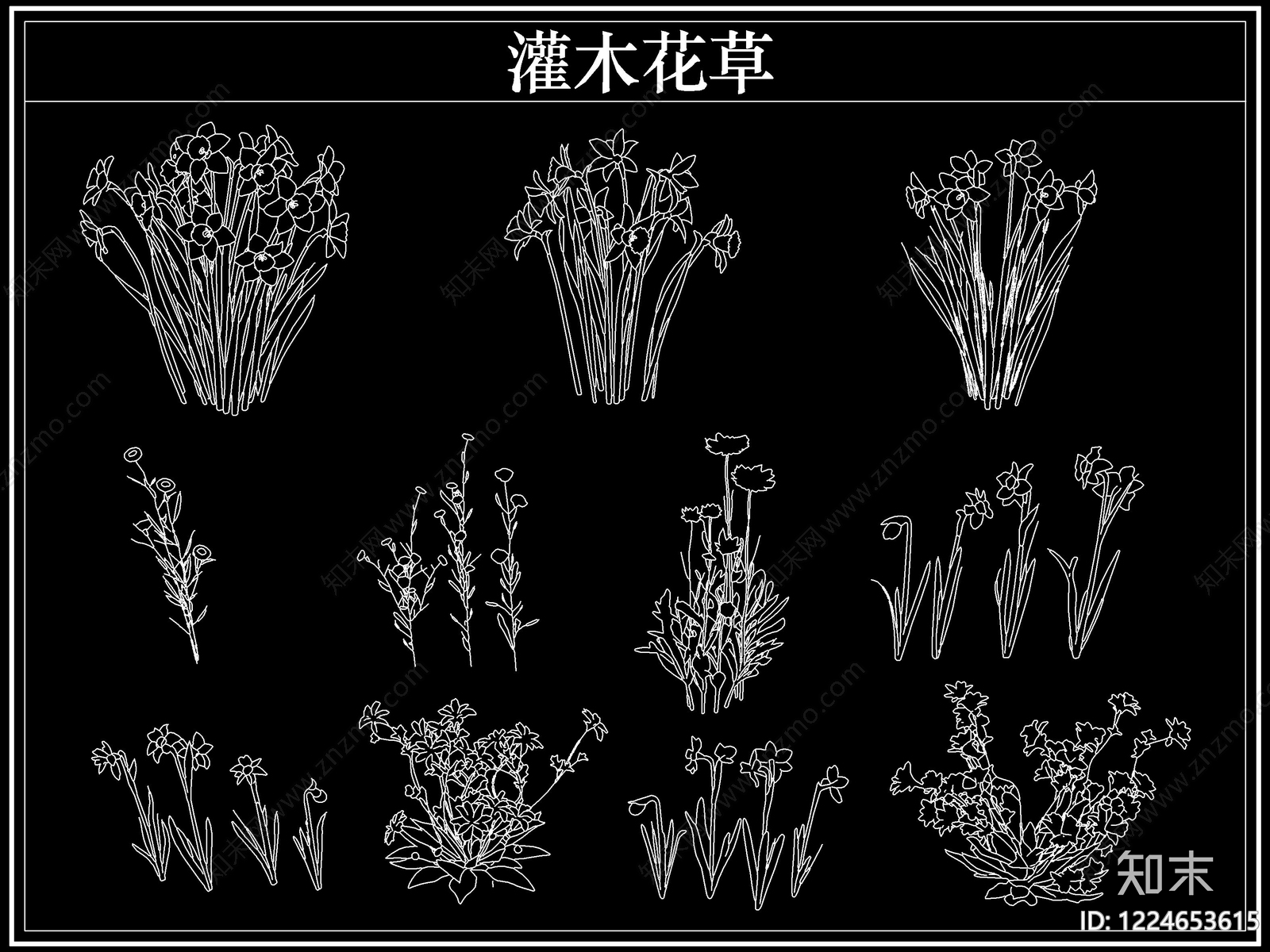 绿植CAD图纸