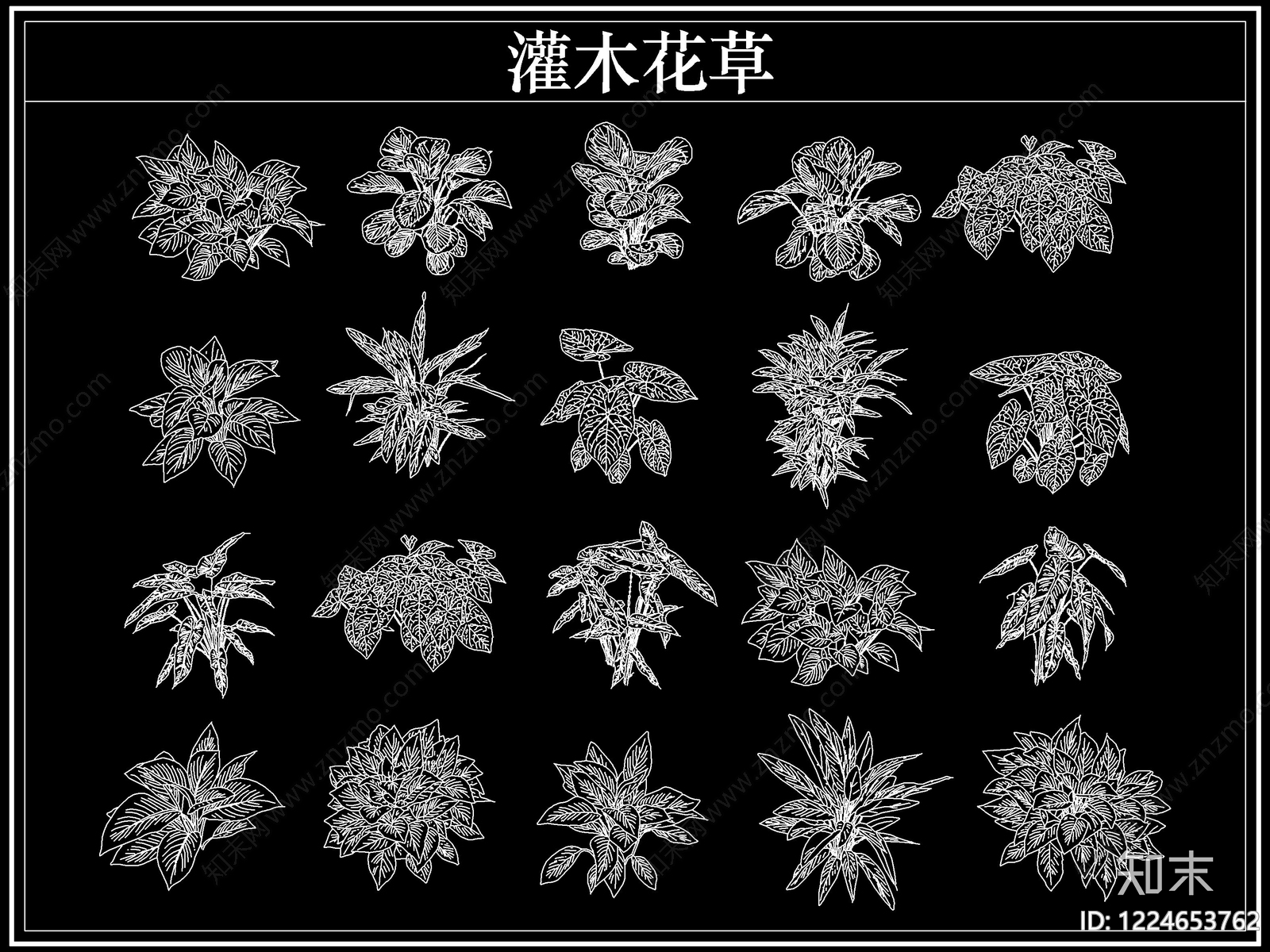 绿植CAD图纸