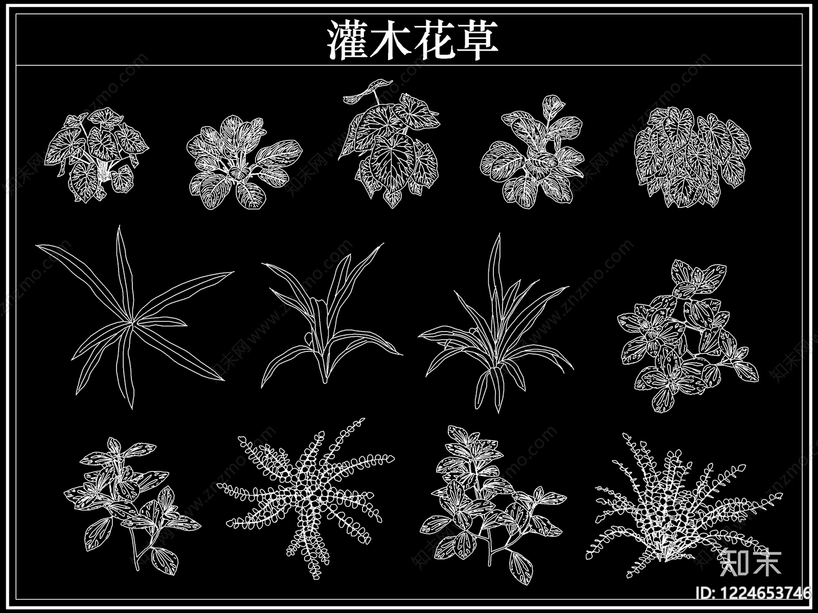 绿植CAD图纸