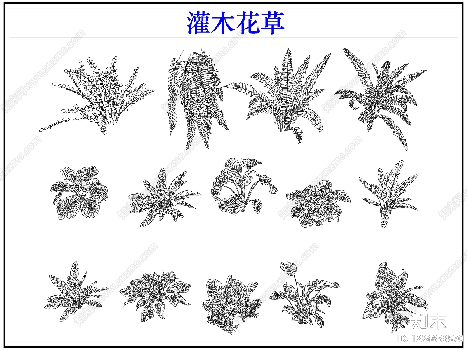 绿植CAD图纸