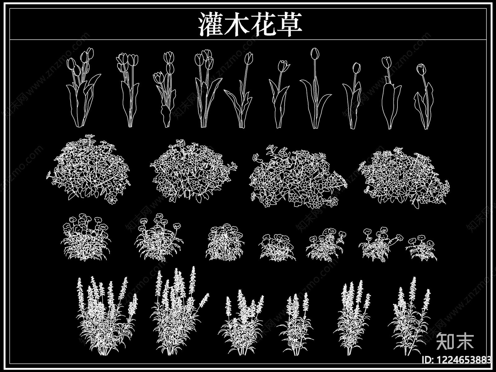 绿植CAD图纸