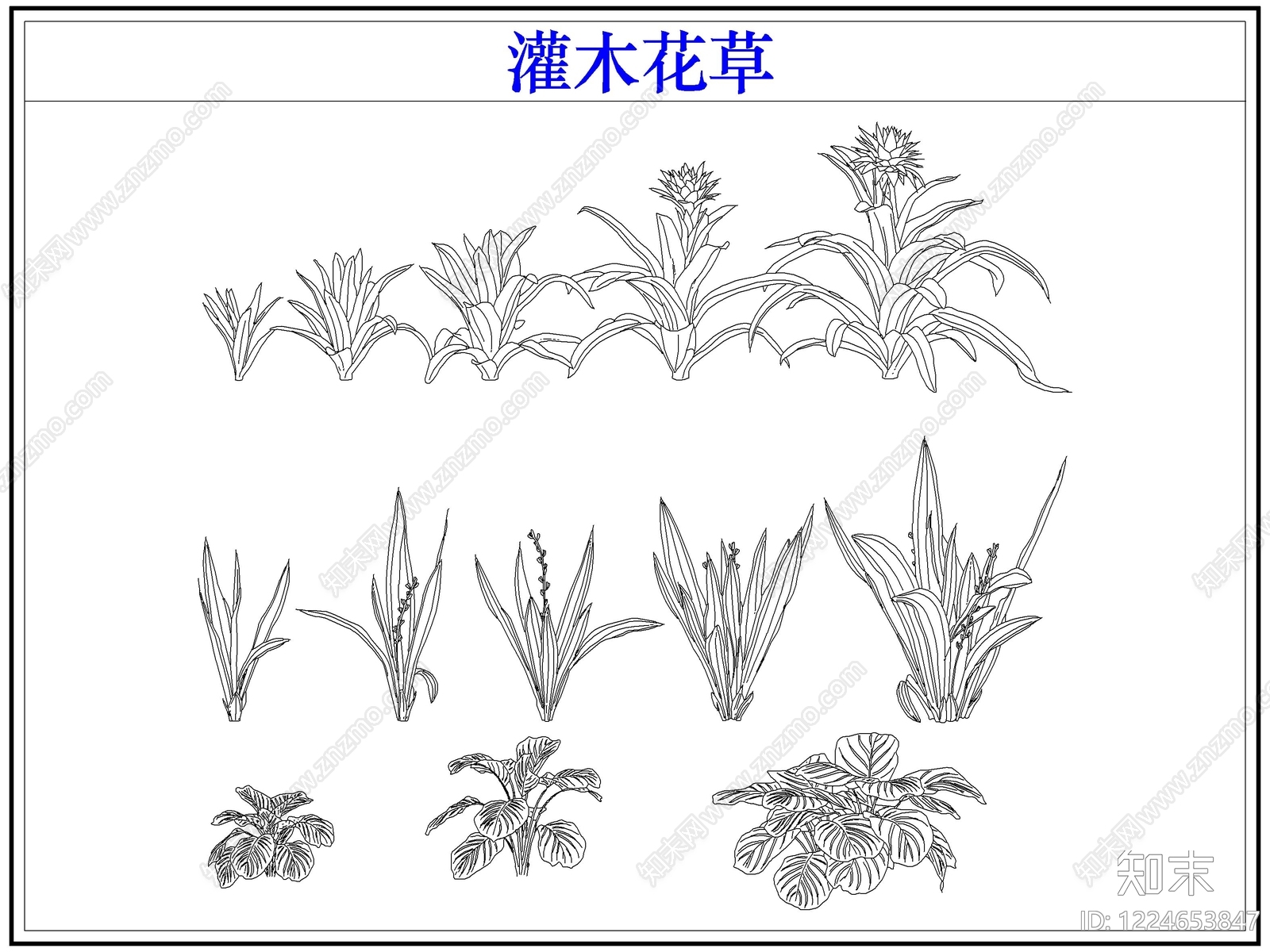 绿植CAD图纸