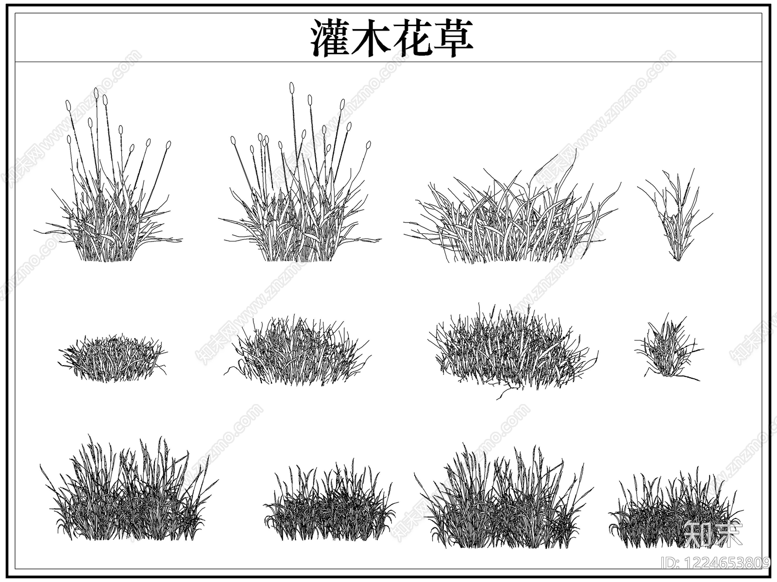 绿植CAD图纸