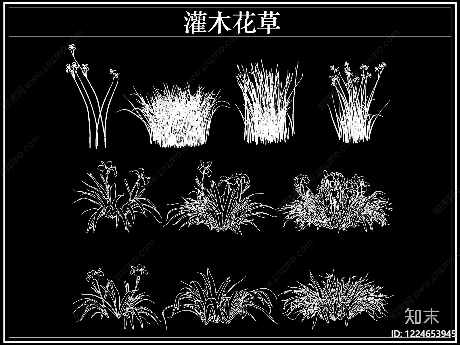 绿植CAD图纸