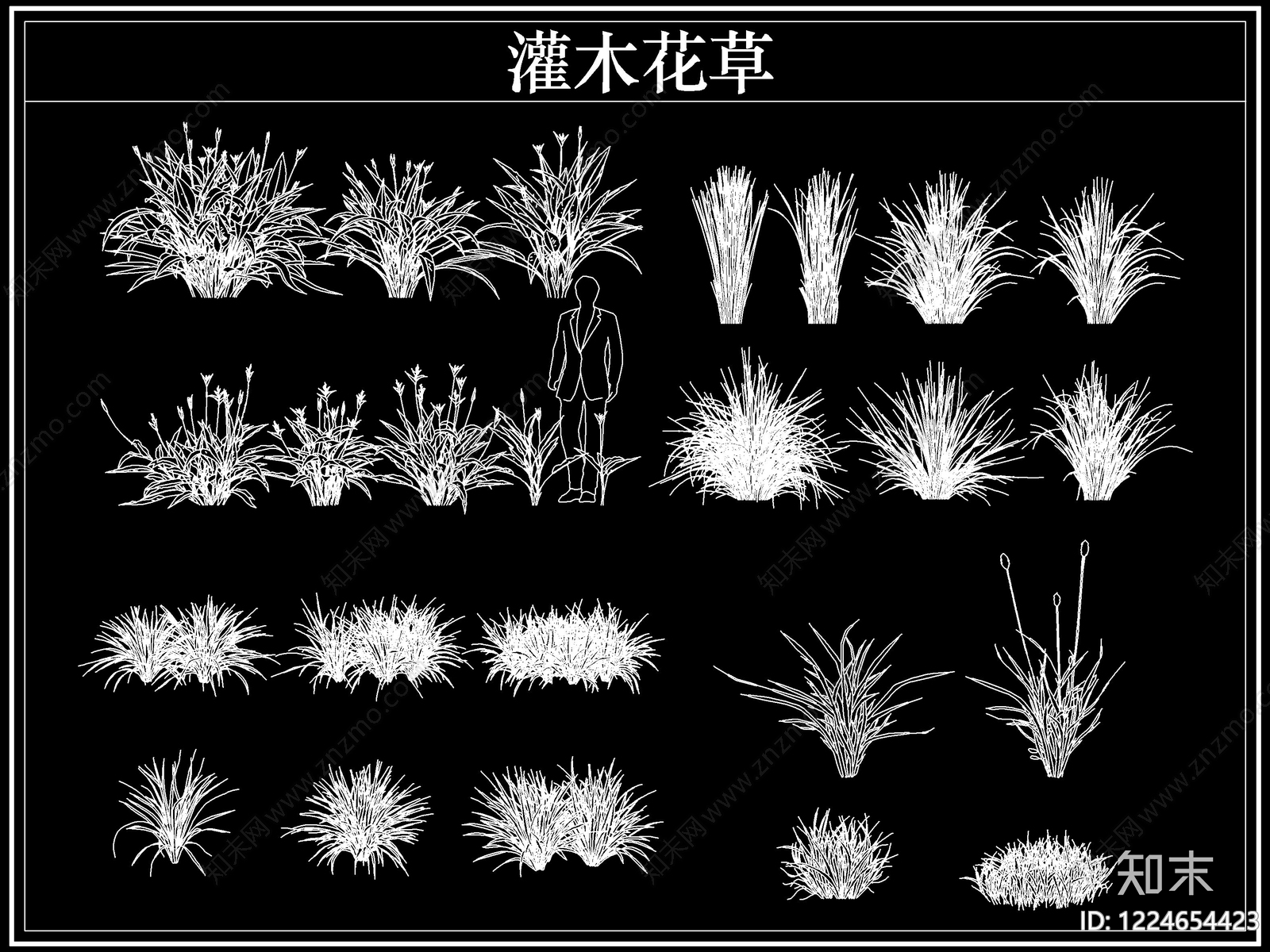 绿植CAD图纸