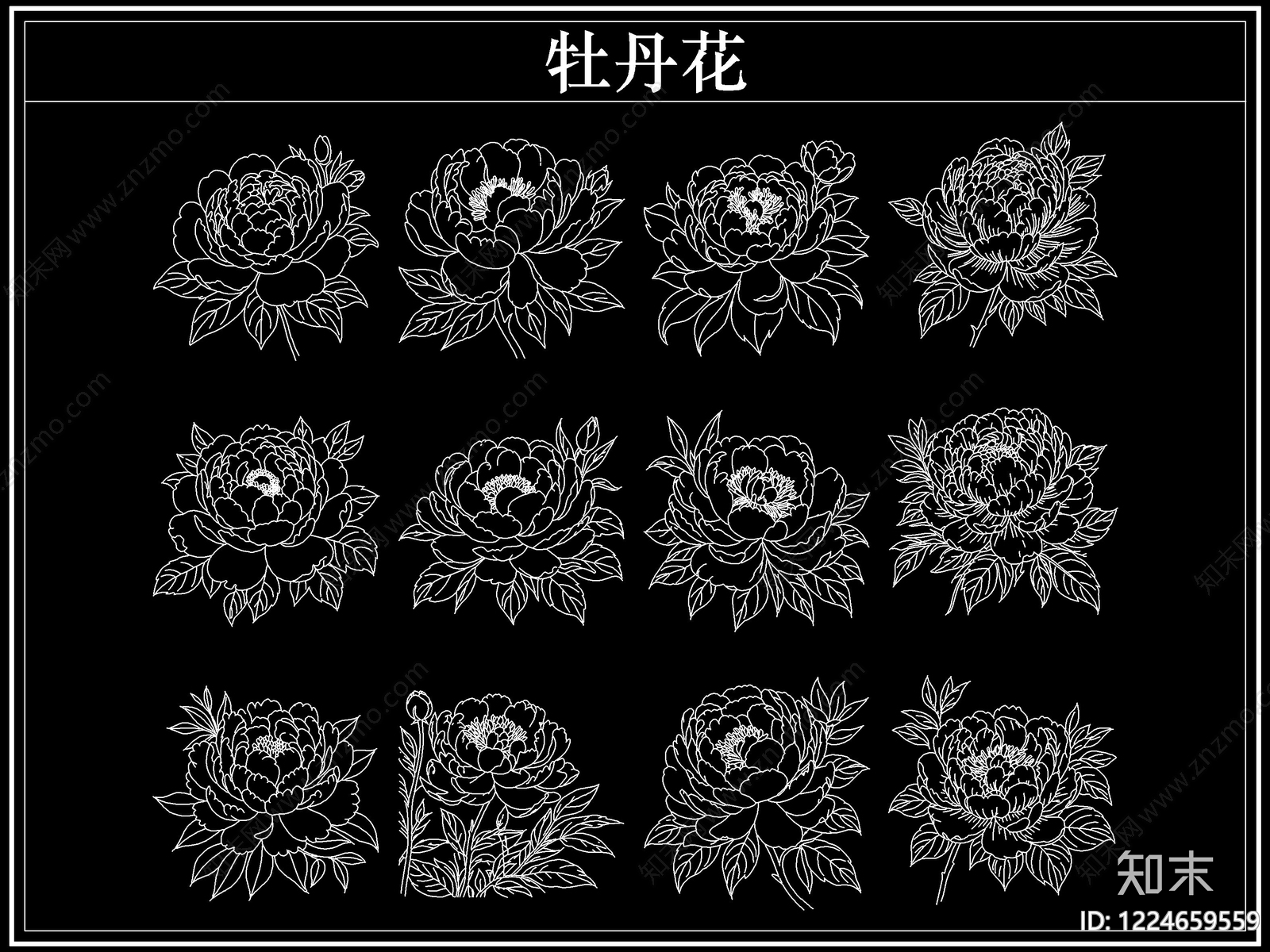 花CAD图纸