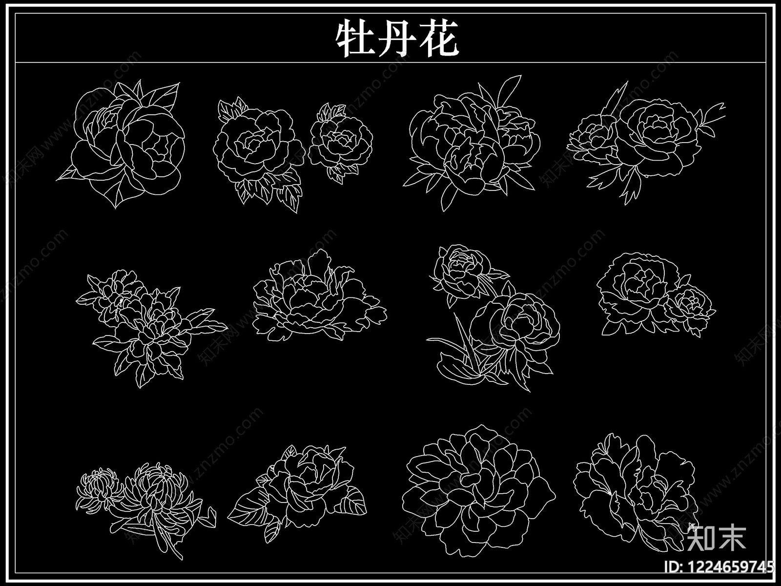 花CAD图纸