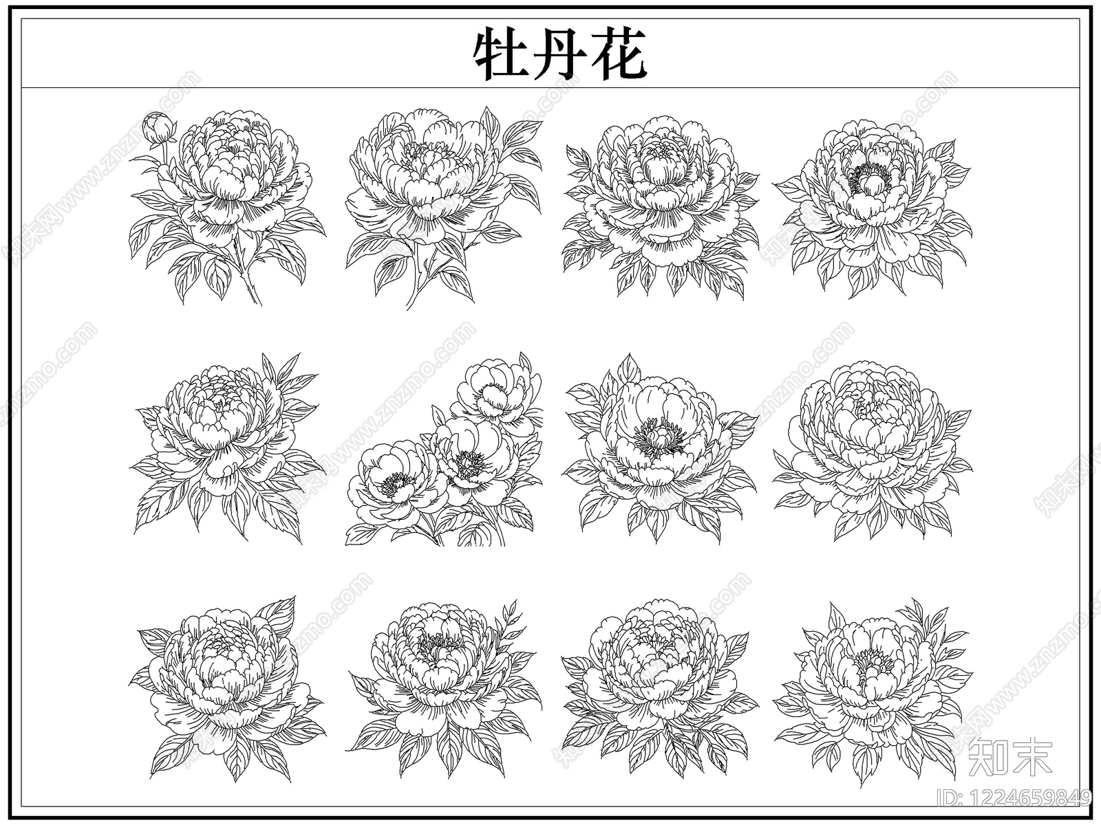 花CAD图纸