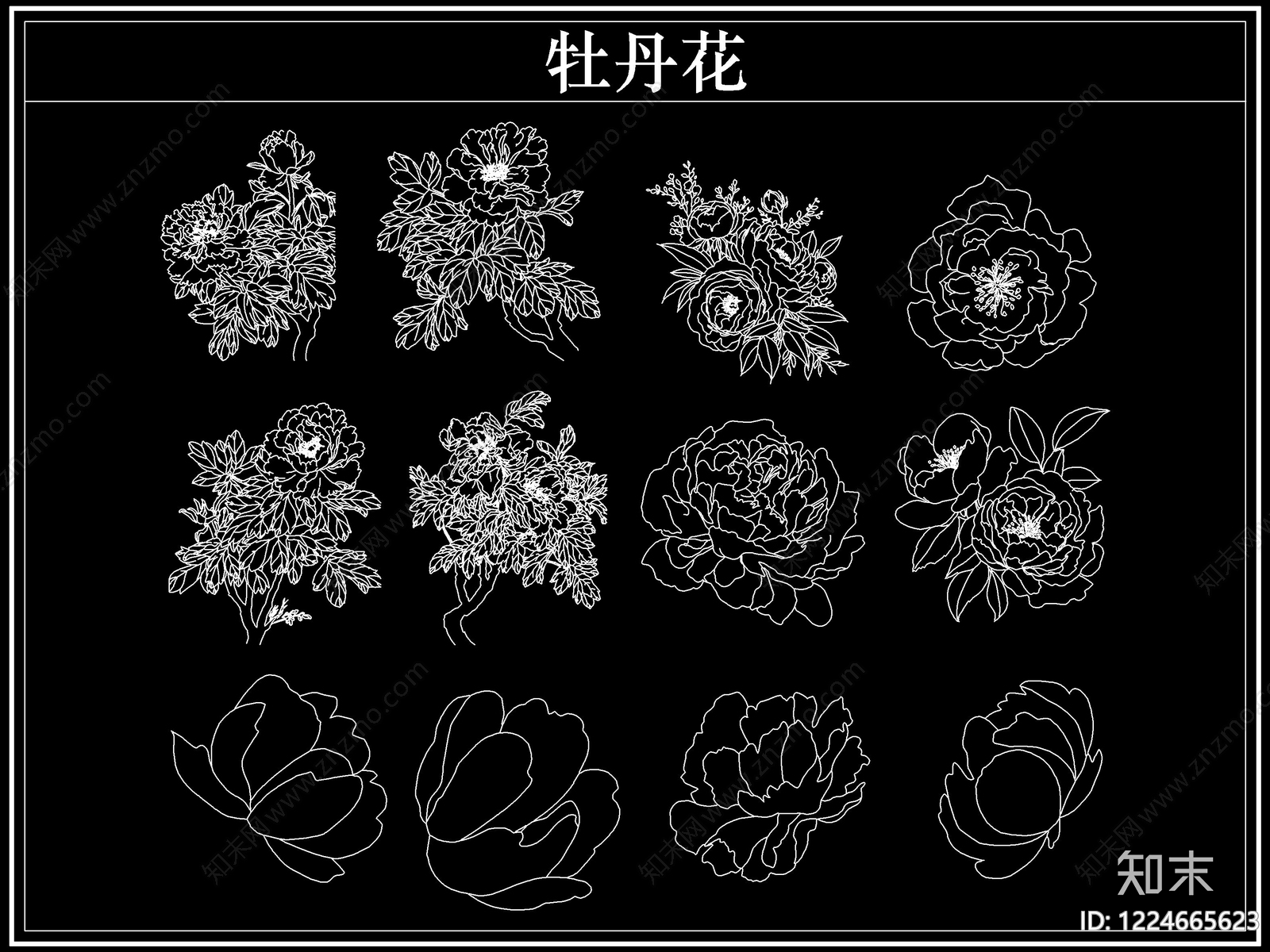 花CAD图纸