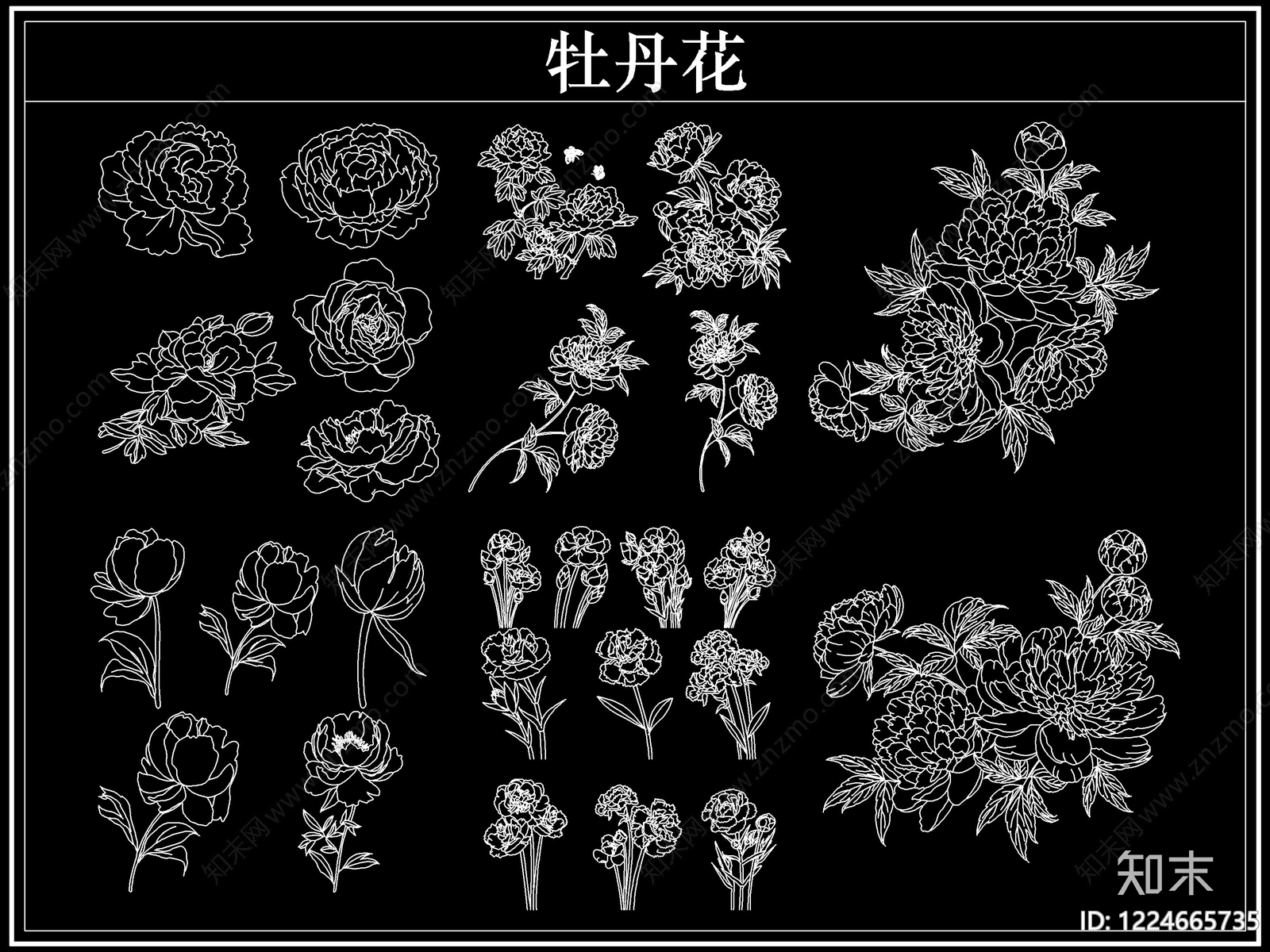 花CAD图纸