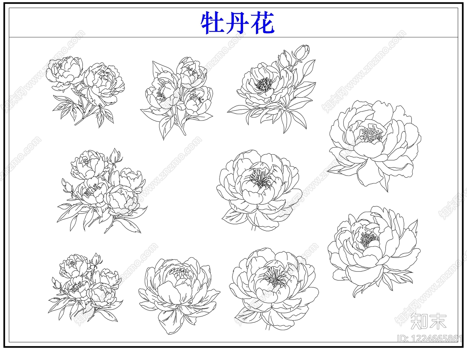 花CAD图纸