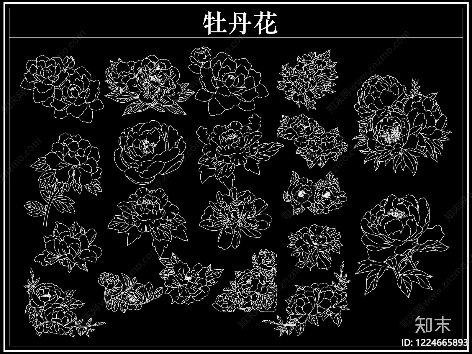 花CAD图纸