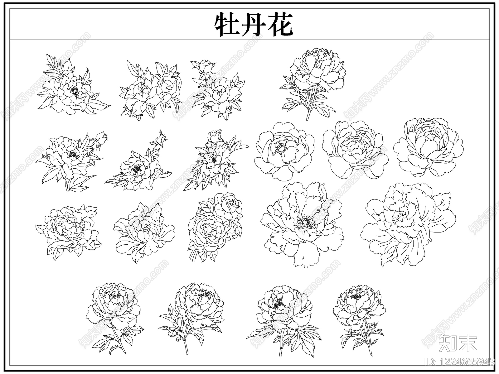 花CAD图纸