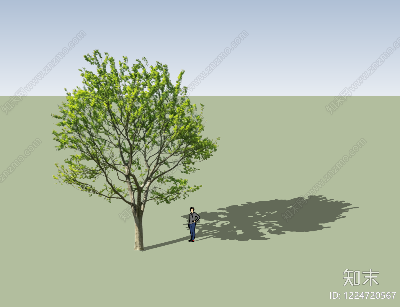 现代主义乔木SU模型下载【ID:1224720567】