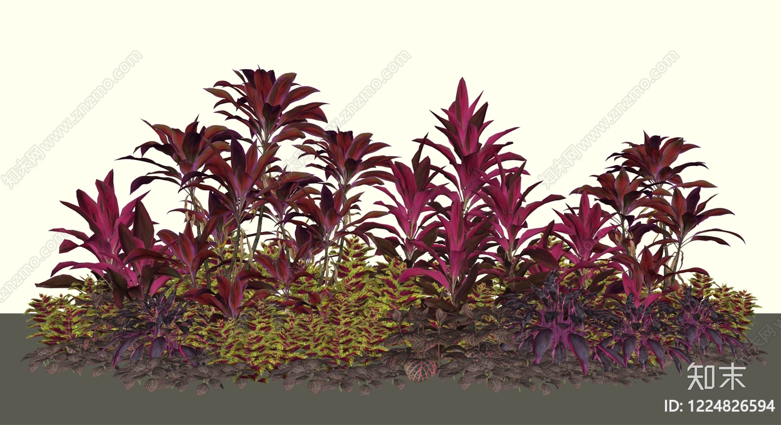 现代植物组合SU模型下载【ID:1224826594】