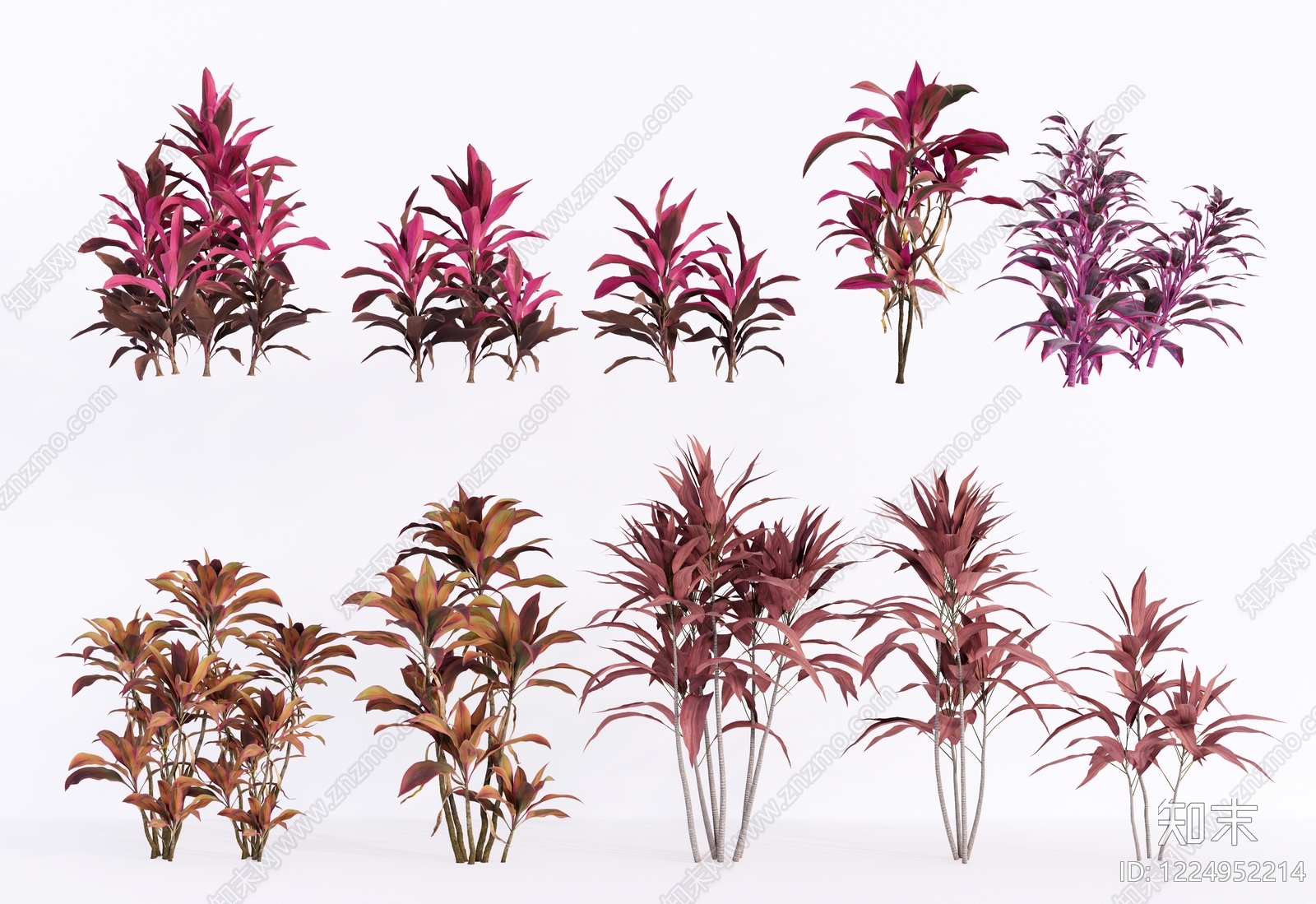 现代草本植物SU模型下载【ID:1224952214】