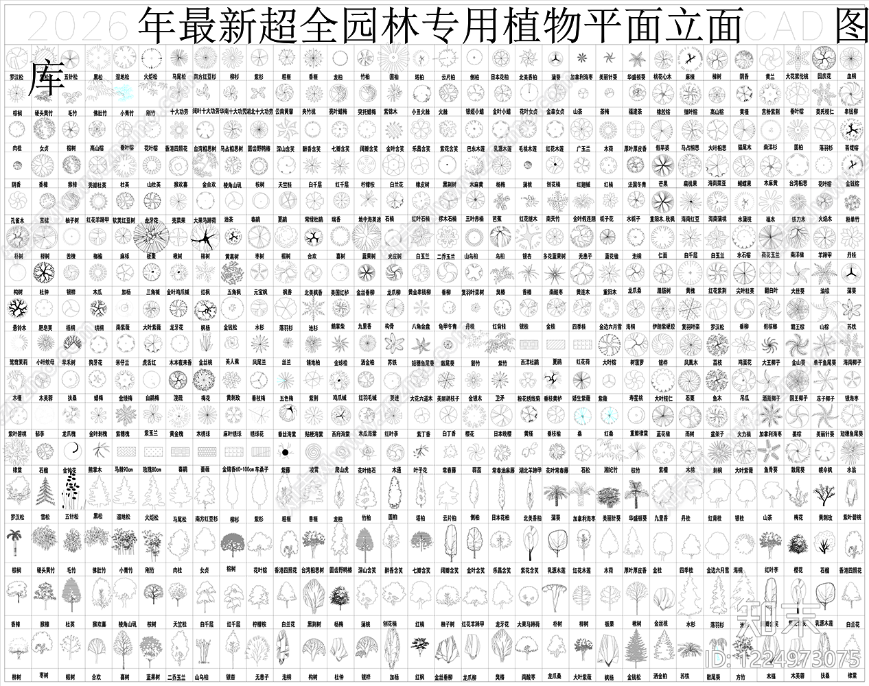 绿植CAD图纸