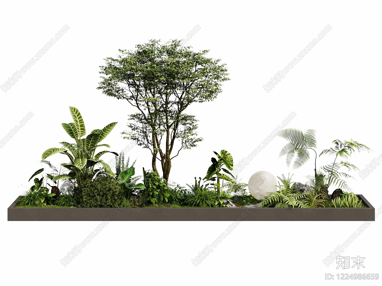 禅意植物堆3D模型下载【ID:1224986659】