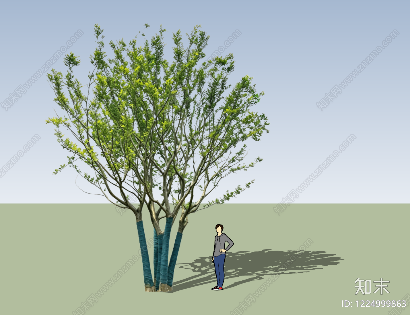 现代乔木SU模型下载【ID:1224999863】