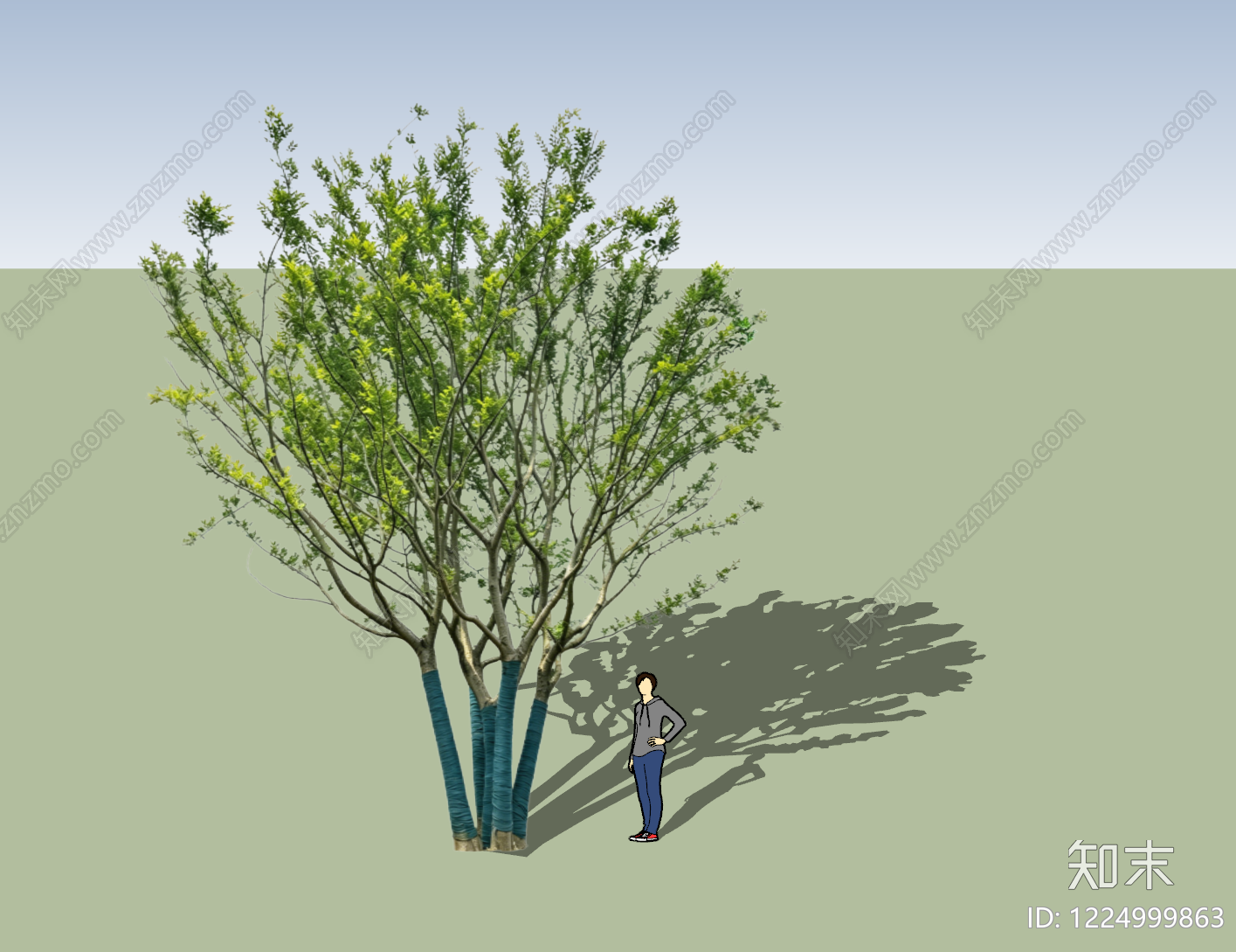 现代乔木SU模型下载【ID:1224999863】