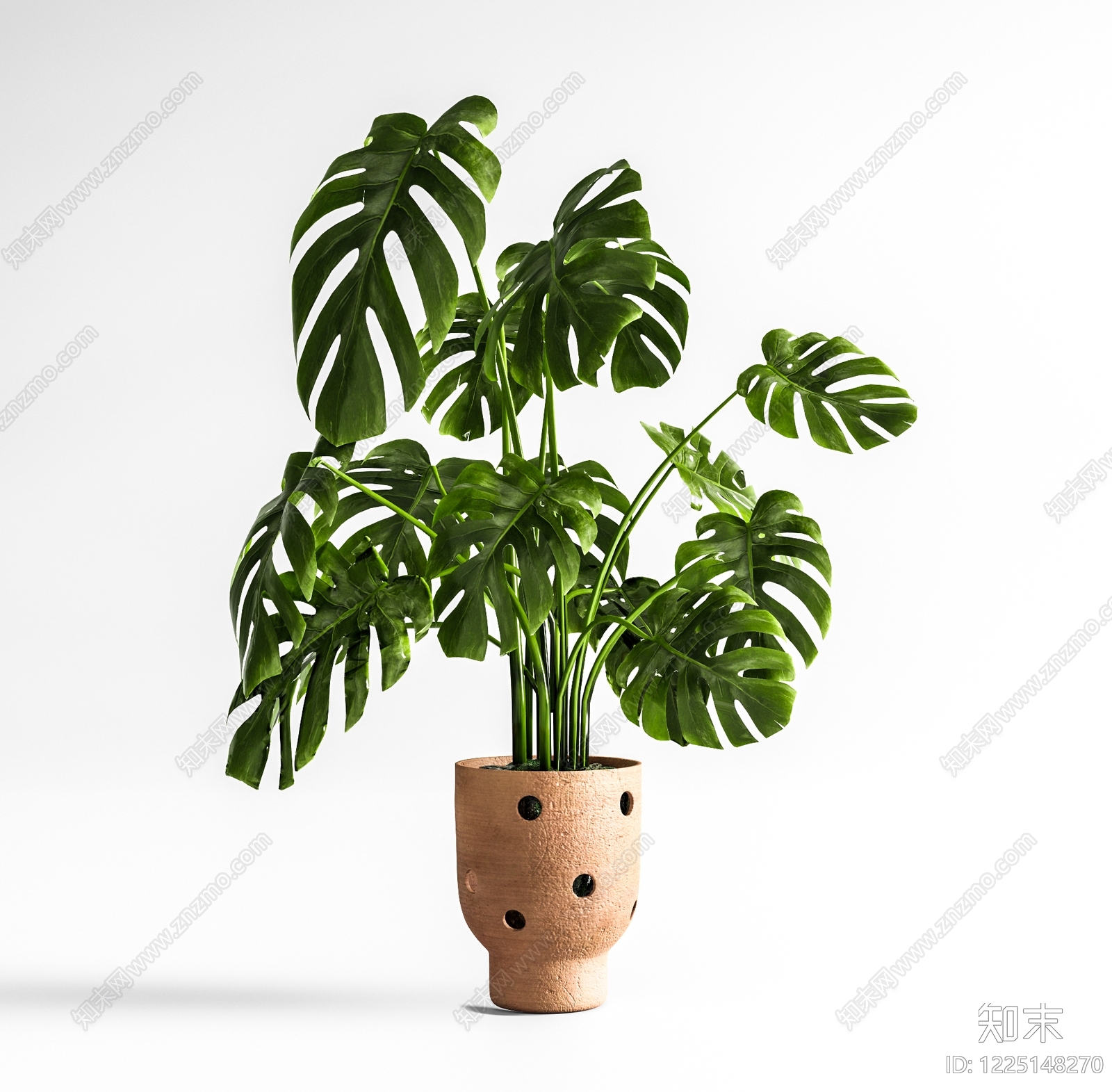 侘寂盆栽SU模型草图