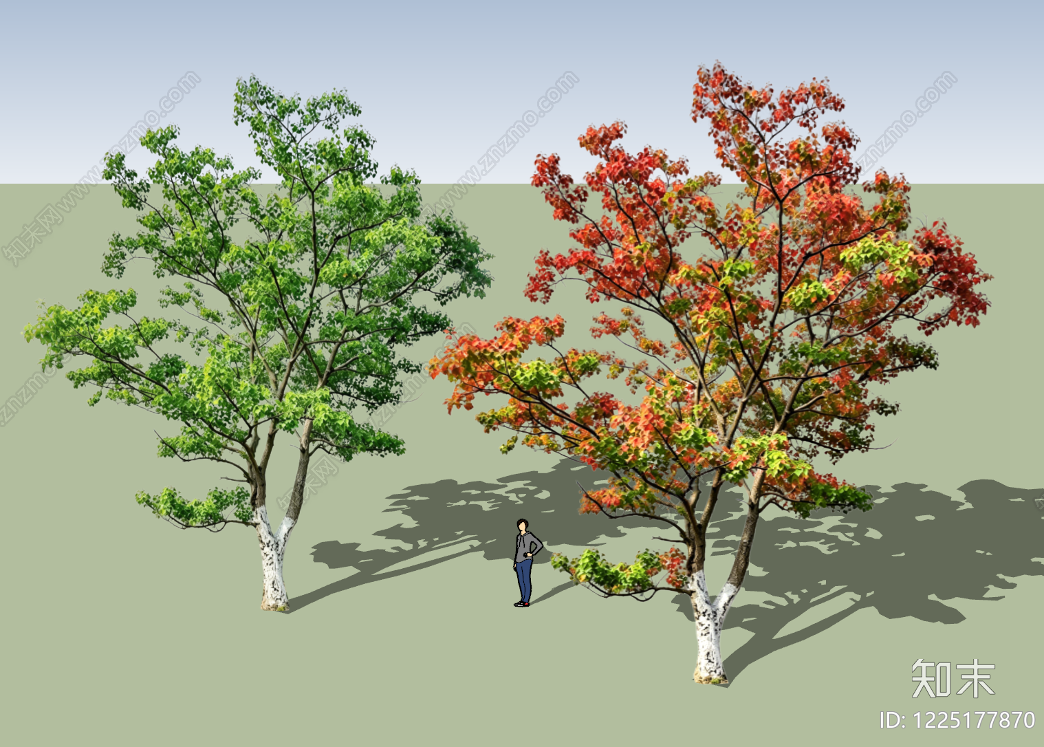 现代乔木SU模型下载【ID:1225177870】