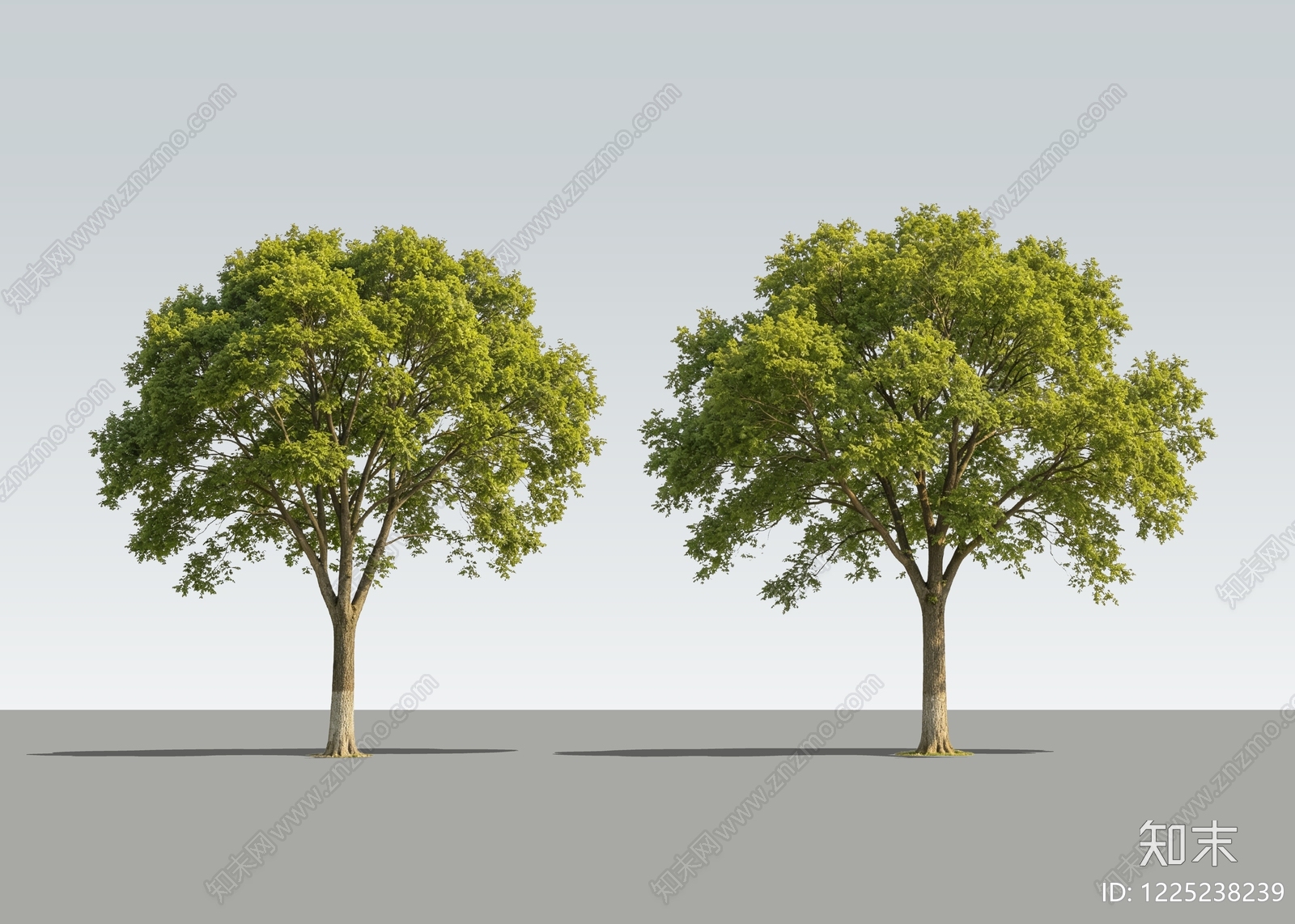 现代乔木SU模型下载【ID:1225238239】