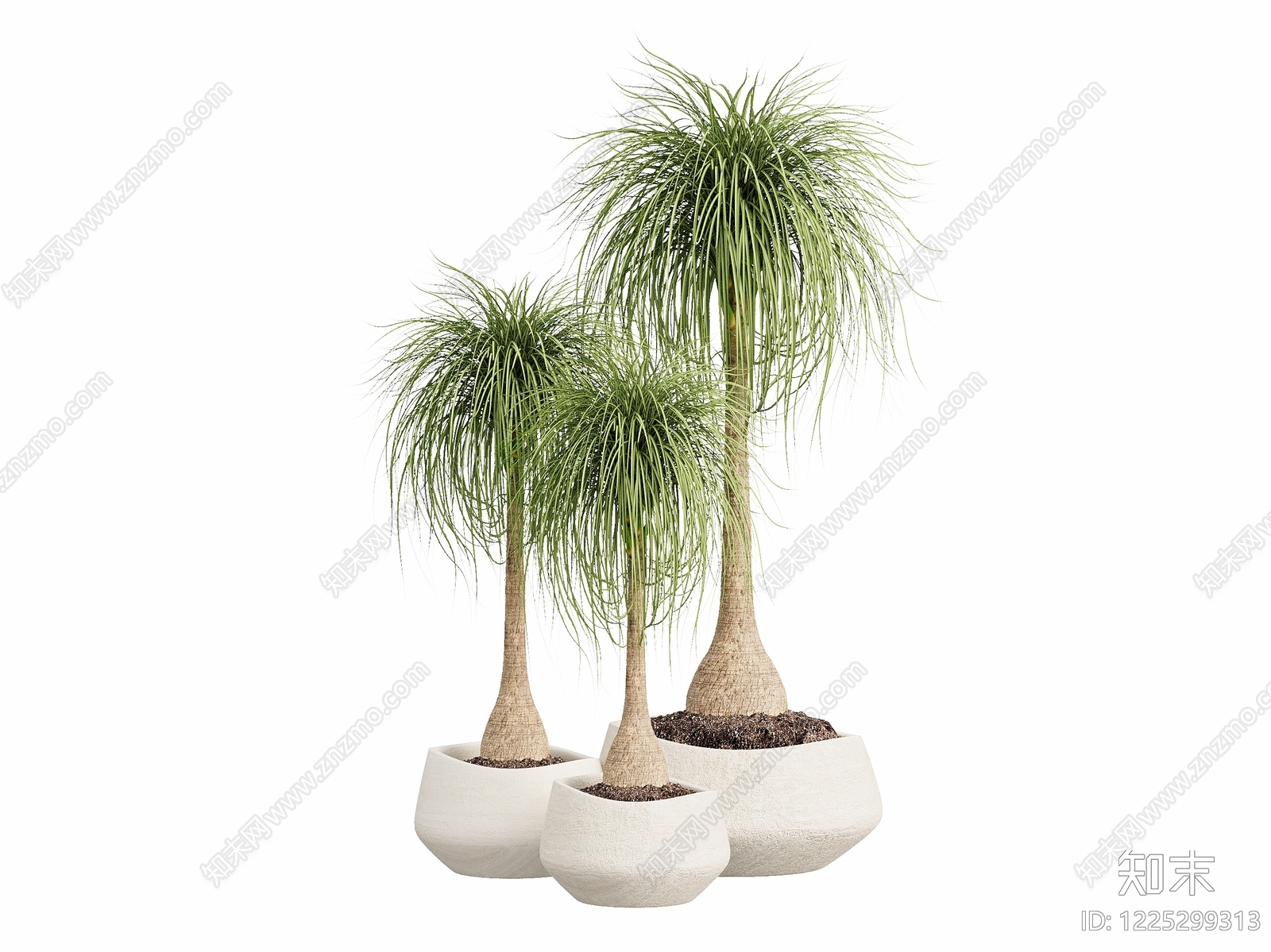 极简盆栽3D模型下载【ID:1225299313】