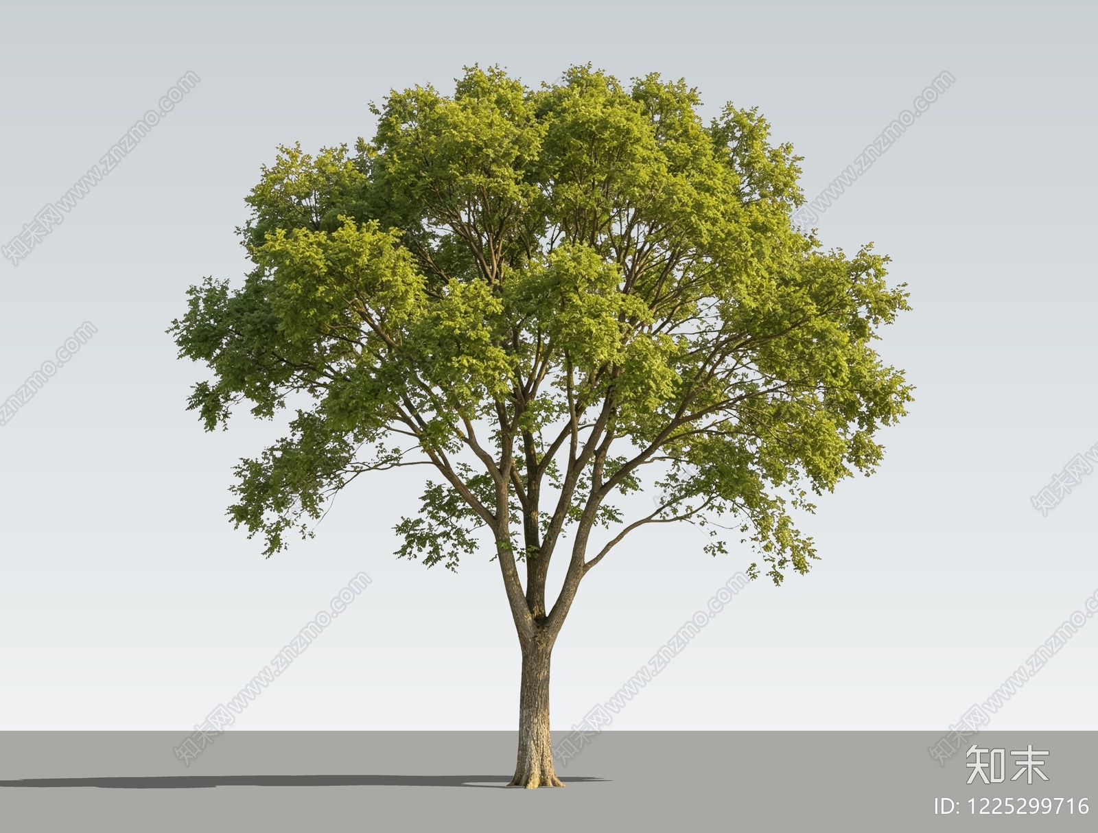 乔木SU模型下载【ID:1225299716】