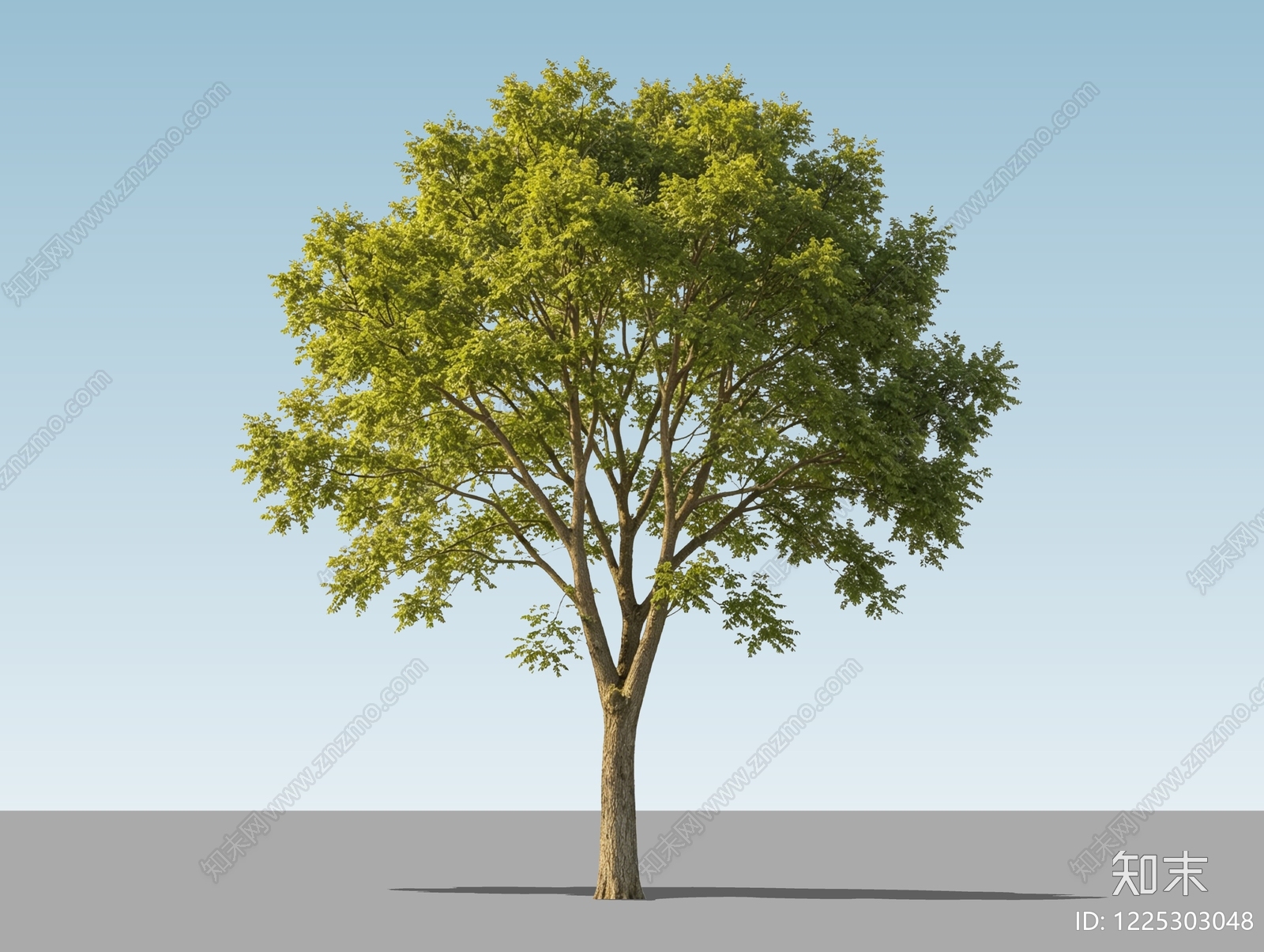 乔木SU模型下载【ID:1225303048】