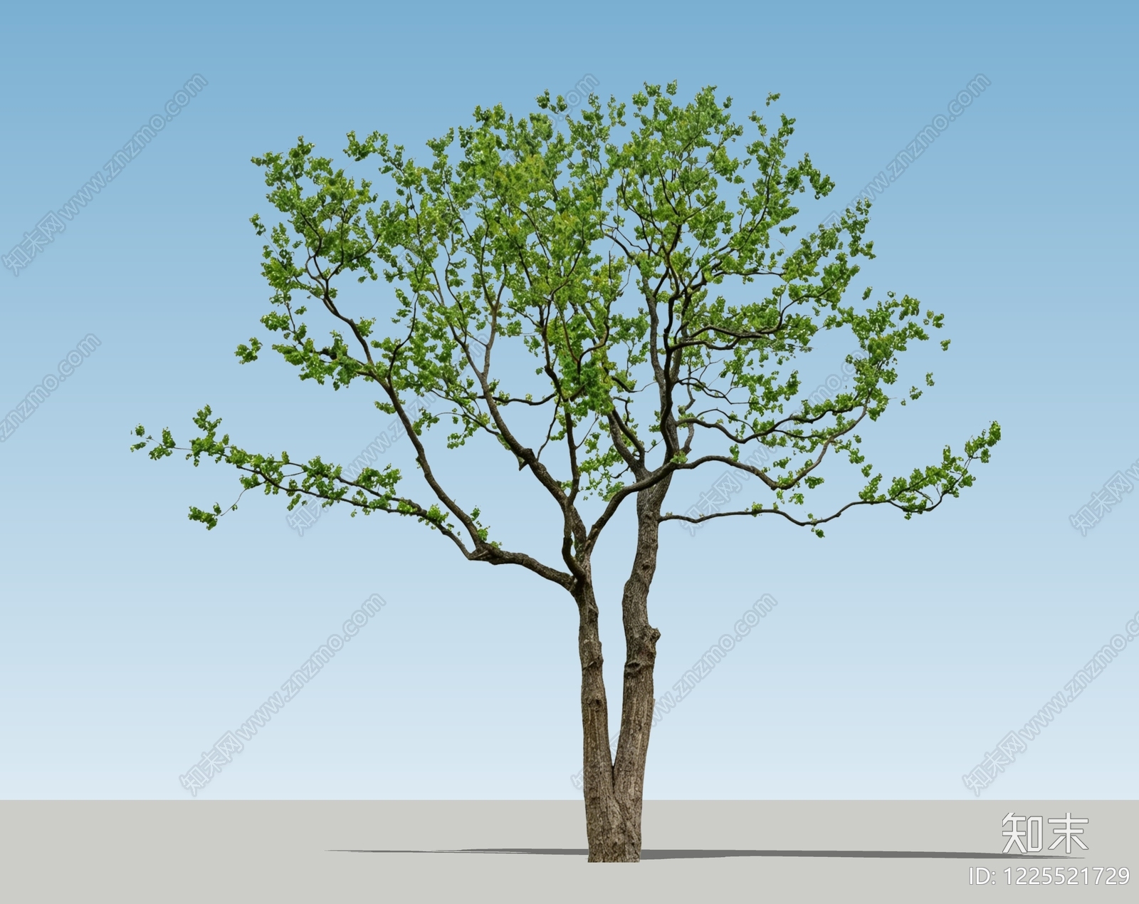 乔木SU模型下载【ID:1225521729】
