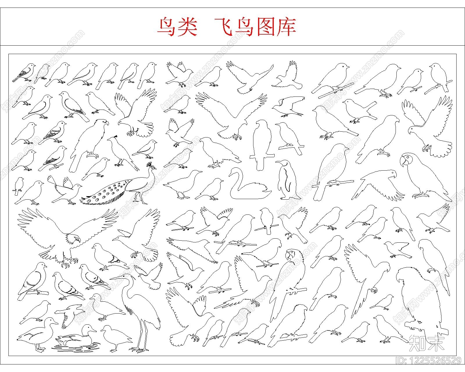 动物cad施工图下载【ID:1225526529】
