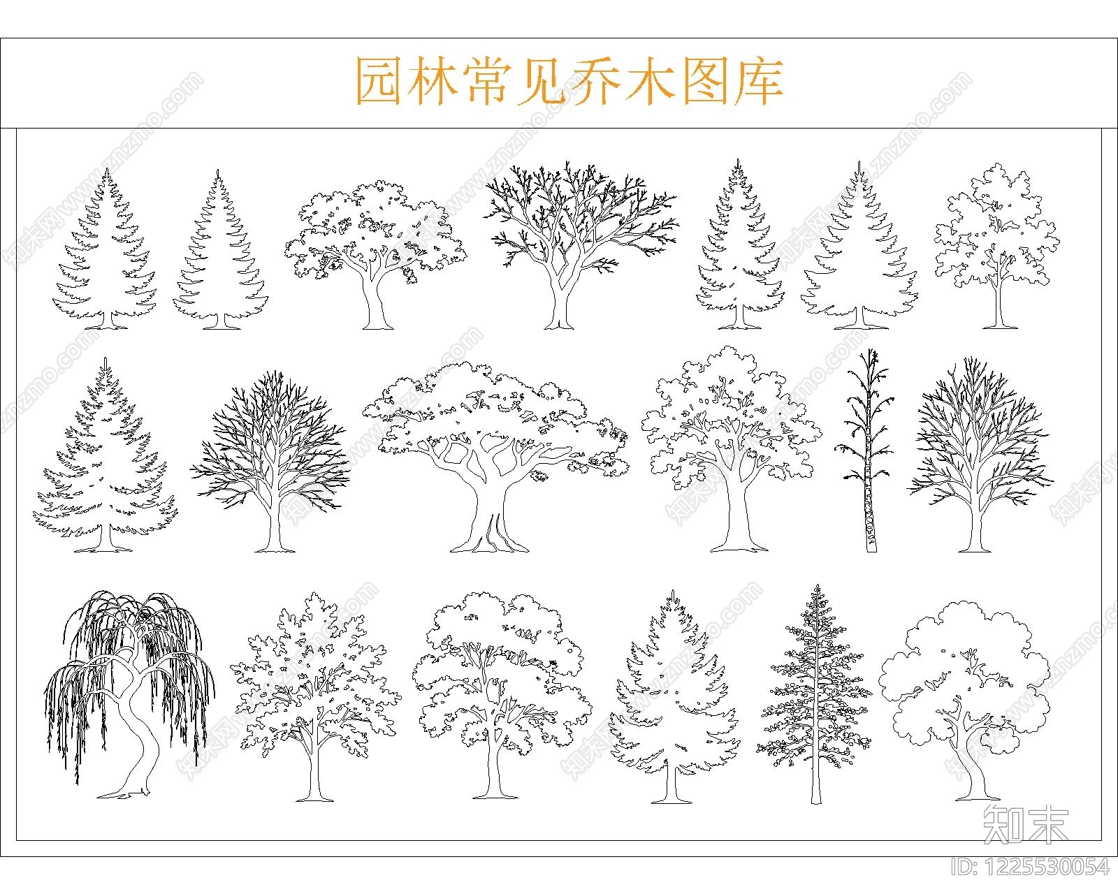 乔木种植CAD图纸